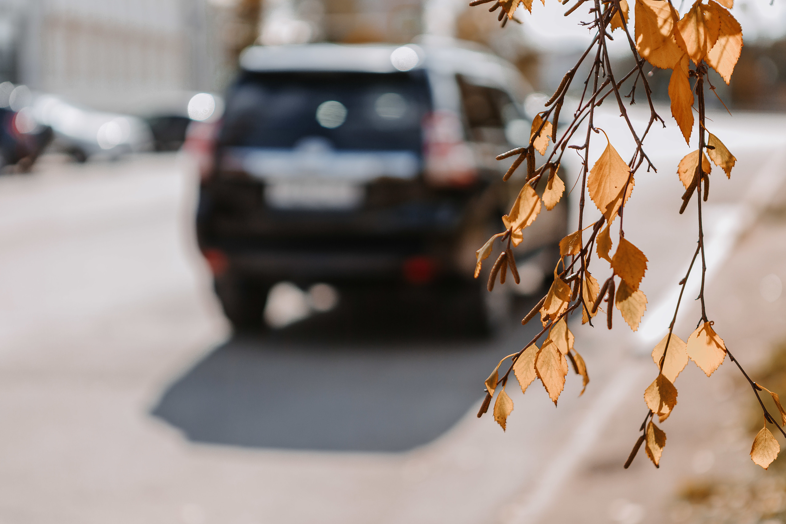 Арпине и Нарек. Свадебный семейный фотограф в Иркутске Светлана Светлакова