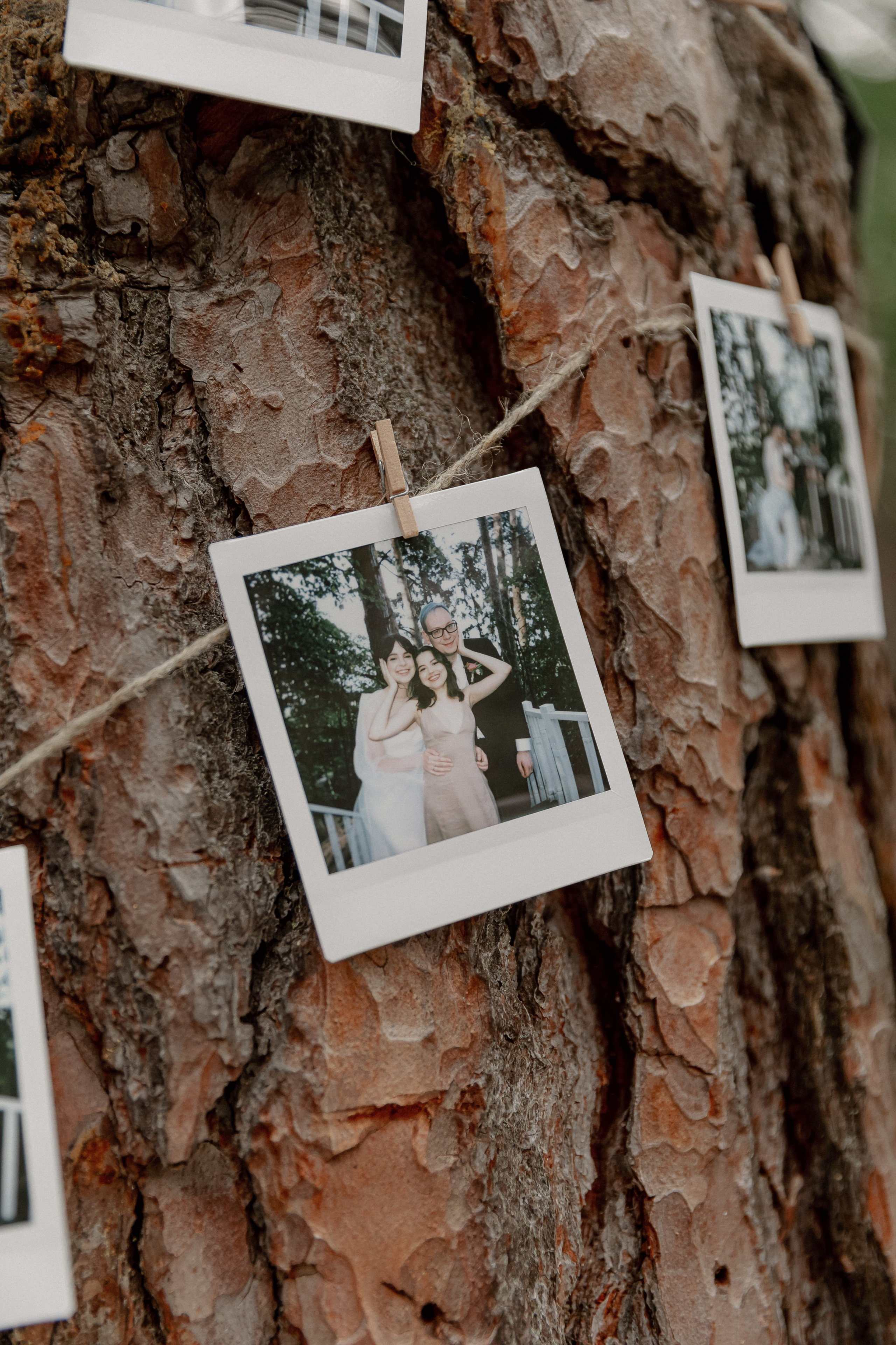 Wedding day Артем и Яна. Свадебный фотограф Колесников Антон