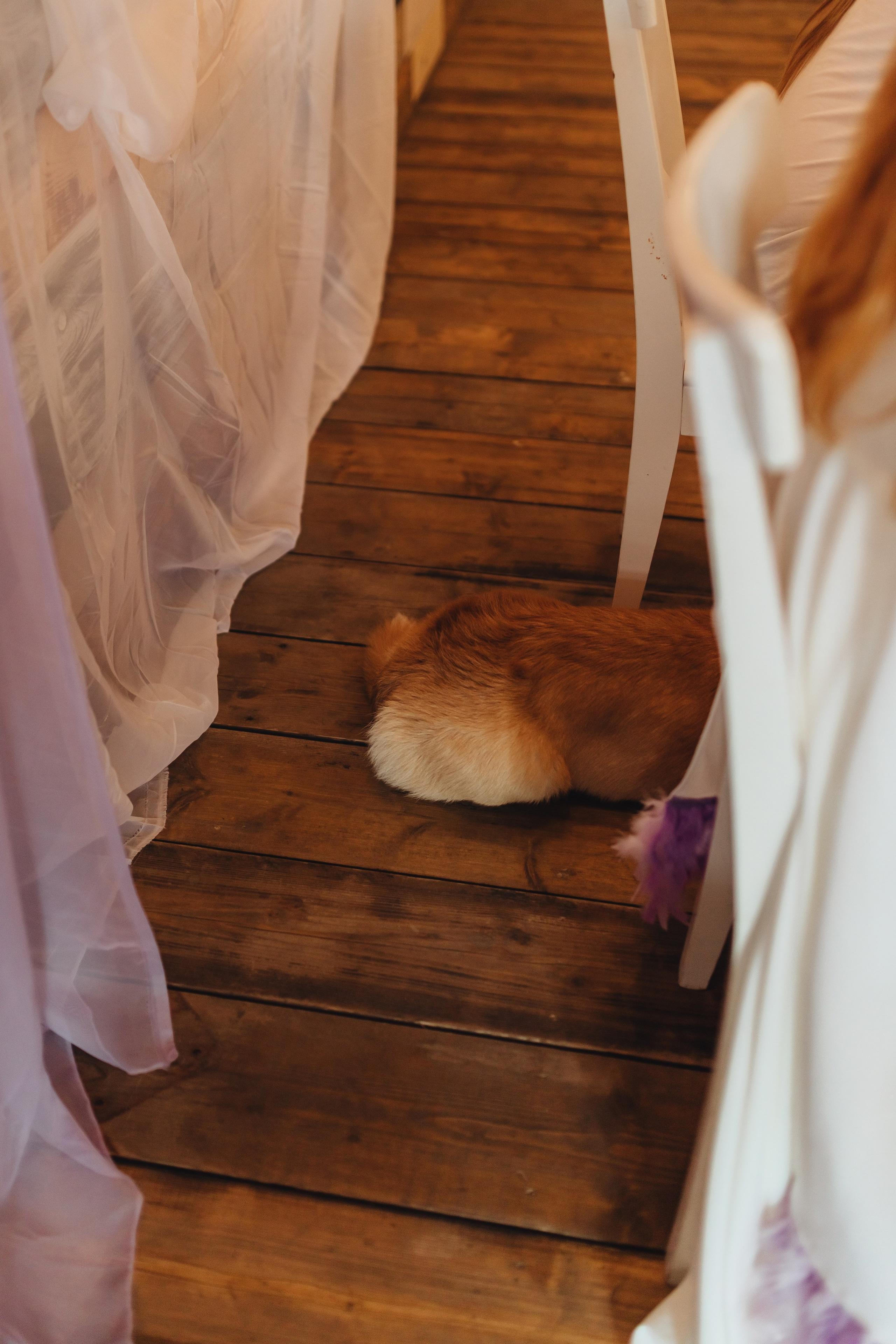 [23-24.08.23] Алексей и Диана. Jen.swph Свадебный фотограф