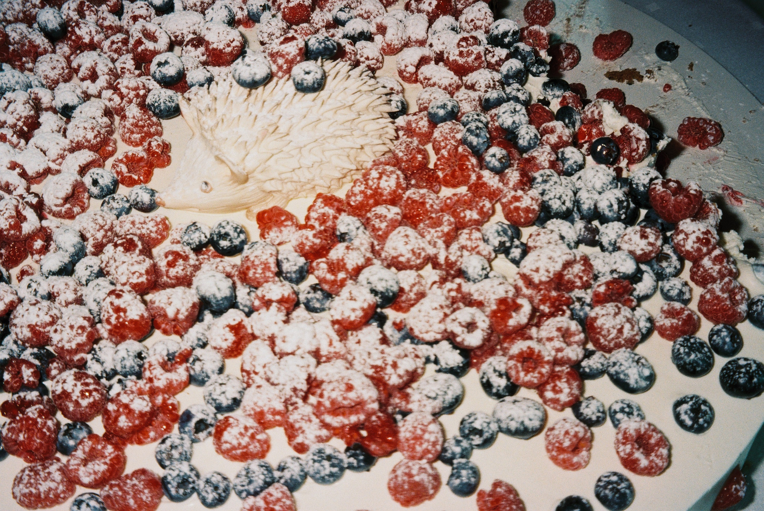 Плёнка. Свадебный фотограф в Краснодаре и Сочи Винидиктова Екатерина