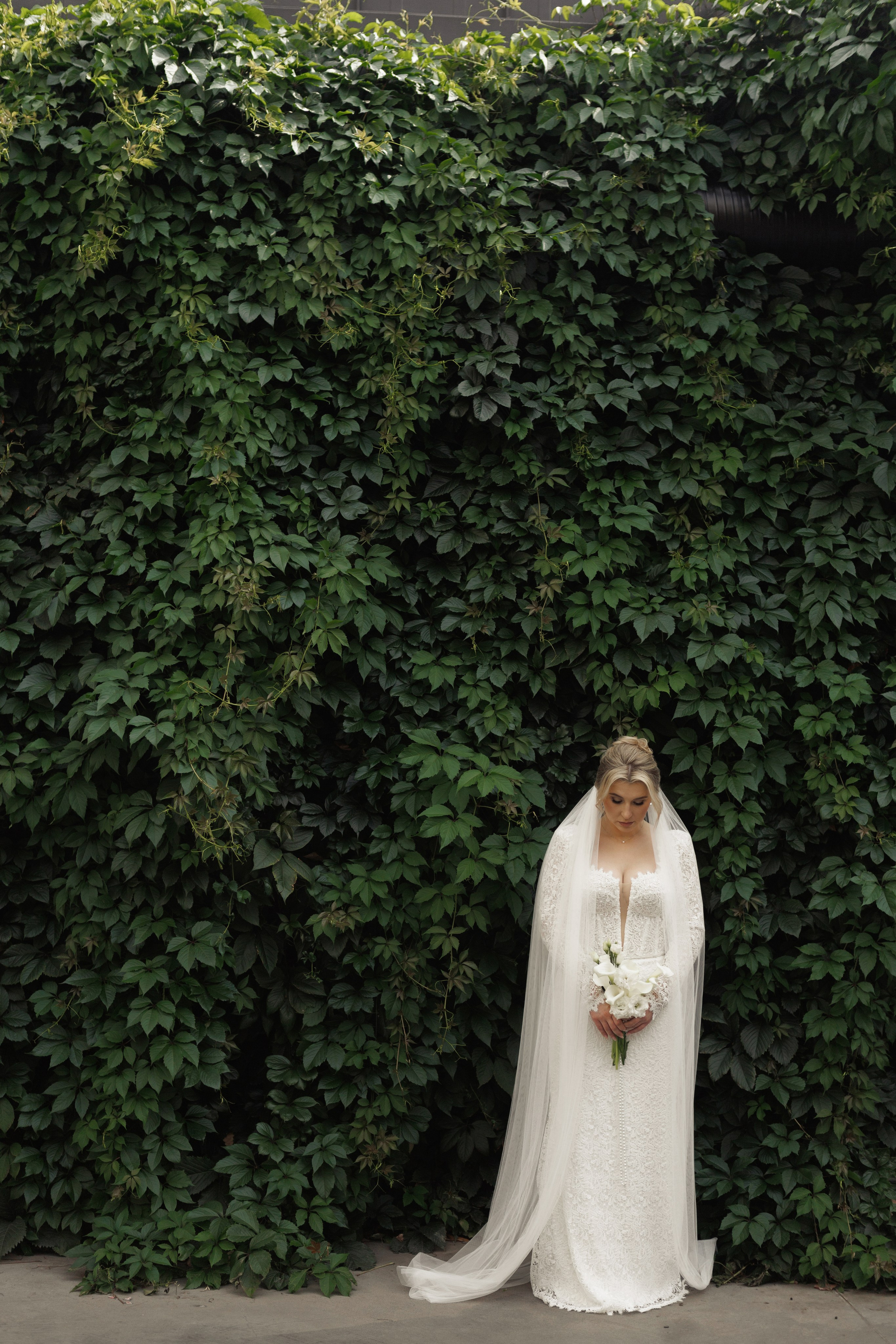 Елена и Александр. Фотограф Дубровская Виктория