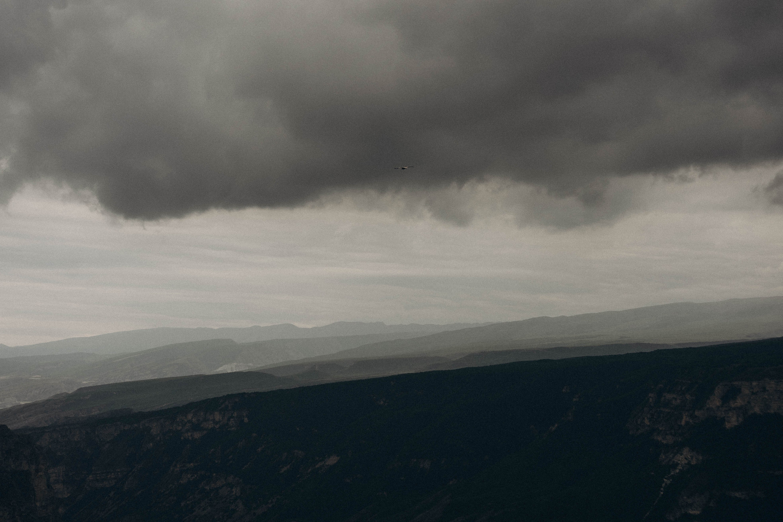 Кавказ. Профессиональный фотограф, Санкт-Петербург — Виктория Богомолова