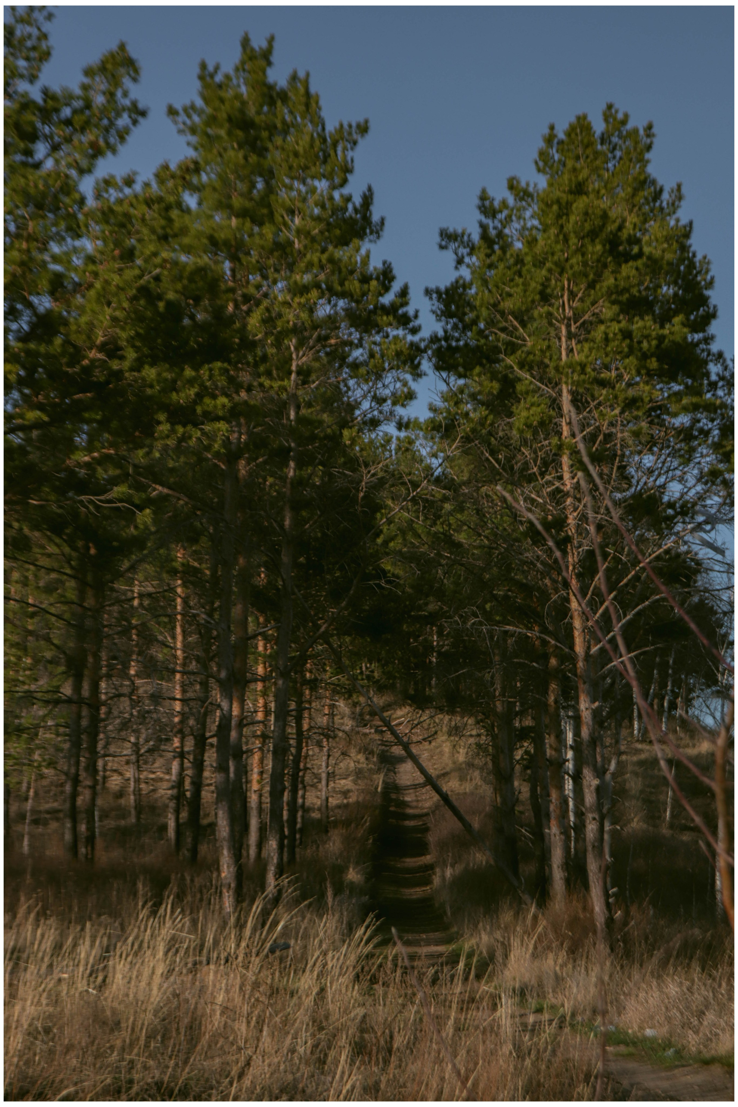 Альметьевск. Фотограф и видеограф в Бугульме Аня Трутнева