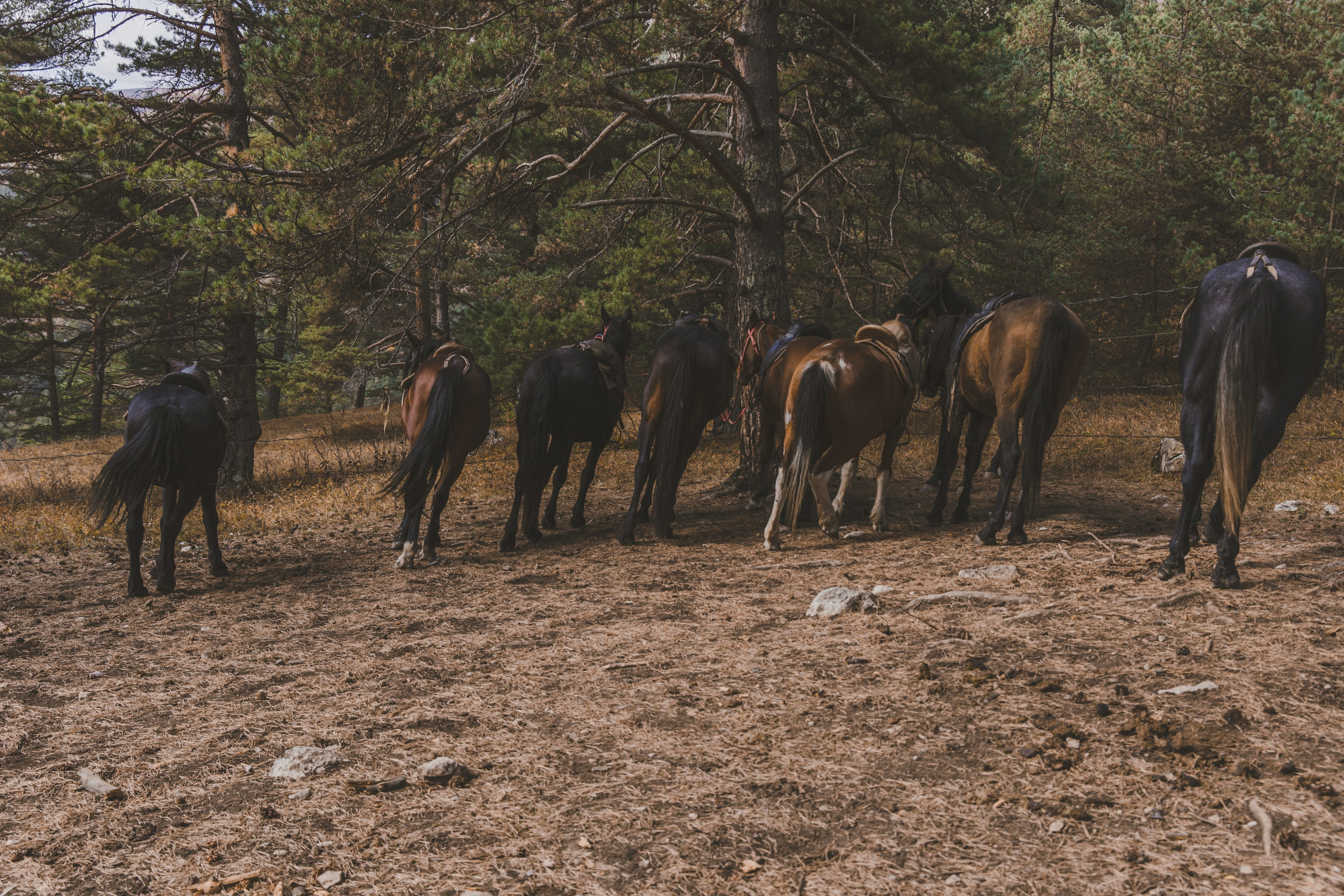 Осетия. Мастерская для создания имиджа от BenSami в Санкт-Петербурге и Москве