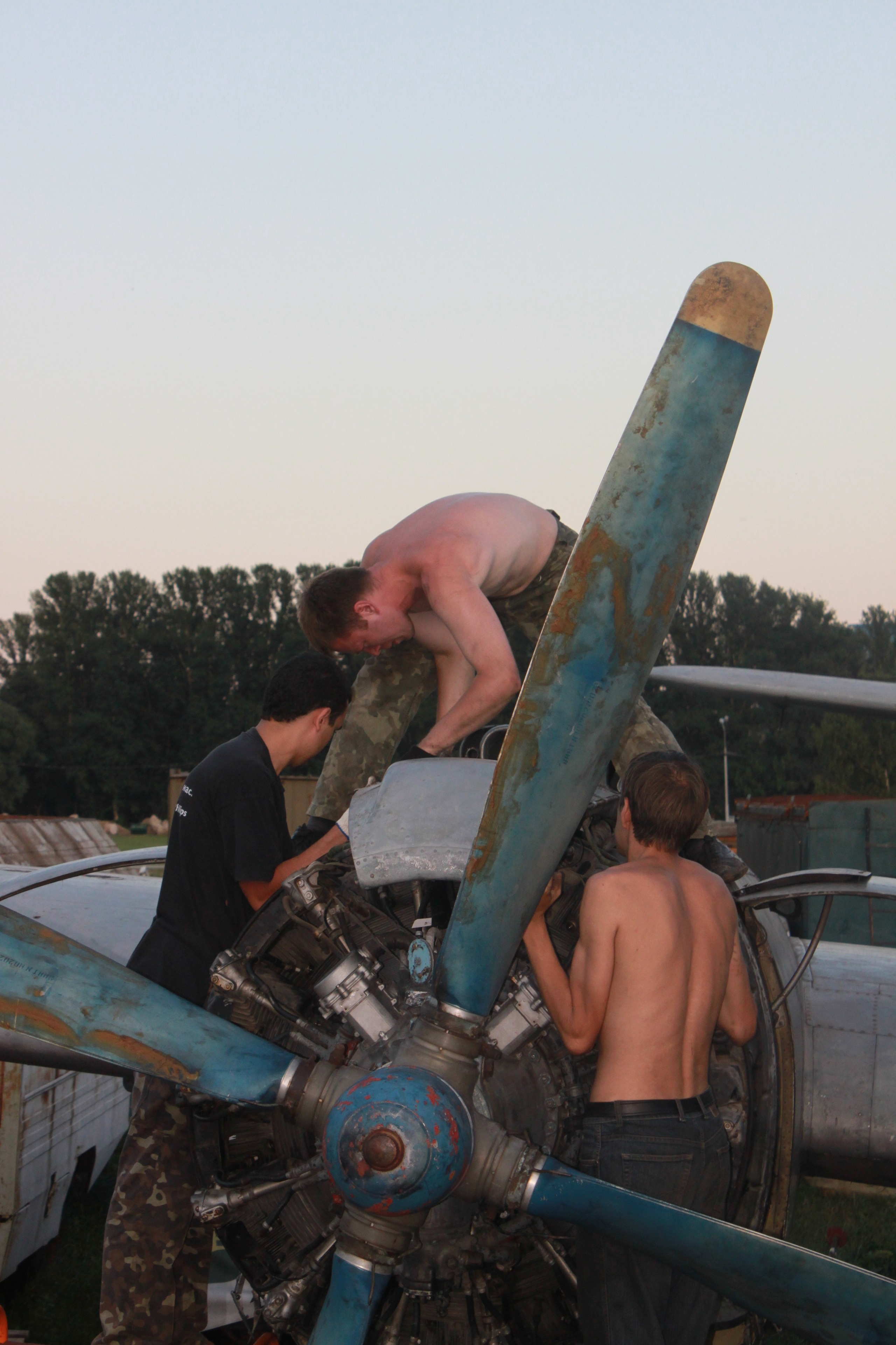 Ил-14Т «Голубая Мечта» работы в Тушино (2011 г.). Фотоальбом показывающий увлекательный мир авиации и мир медведей Андрея Иванова