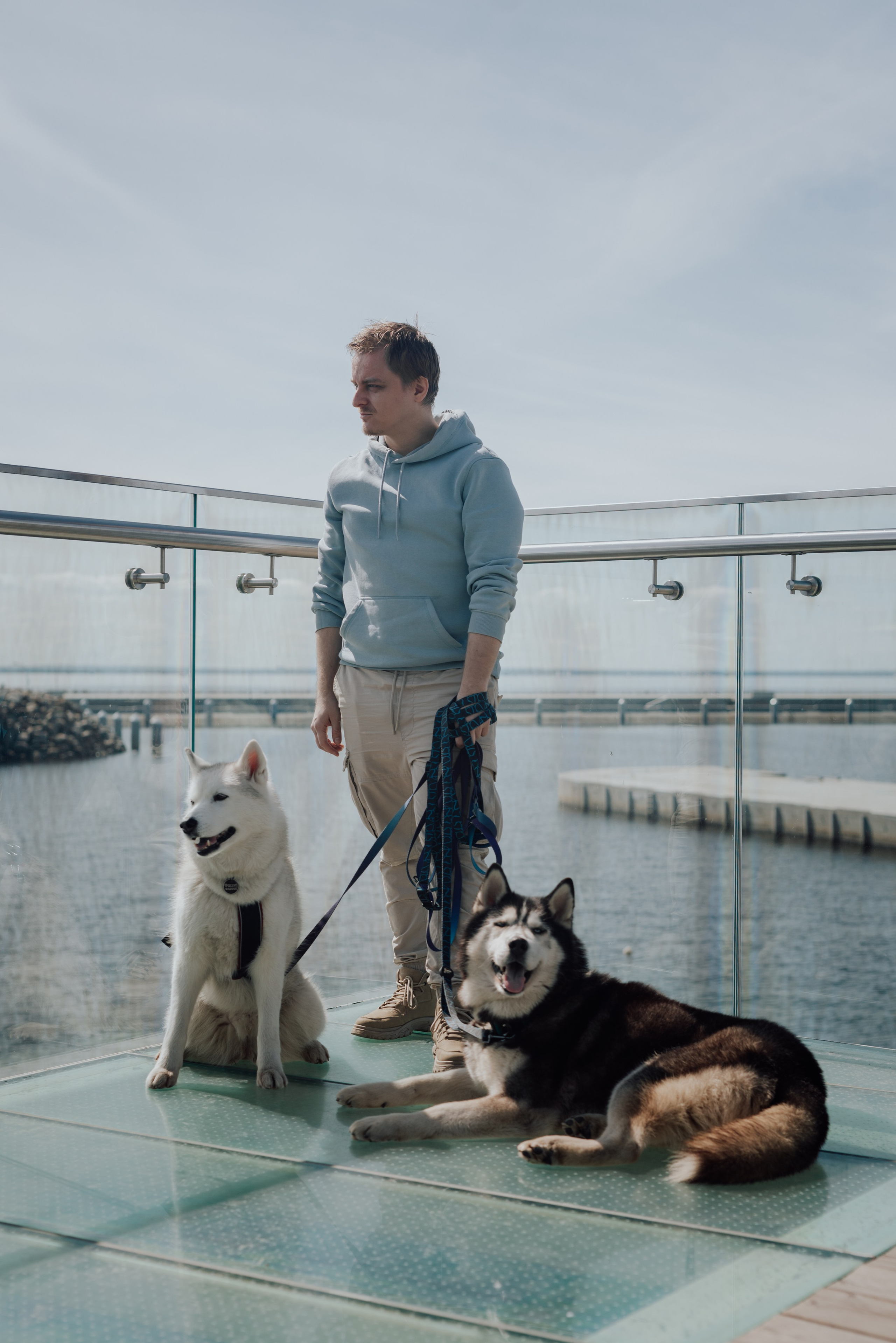 Фотодень с хаски. Фотограф в Санкт-Петербурге и Ленинградской области