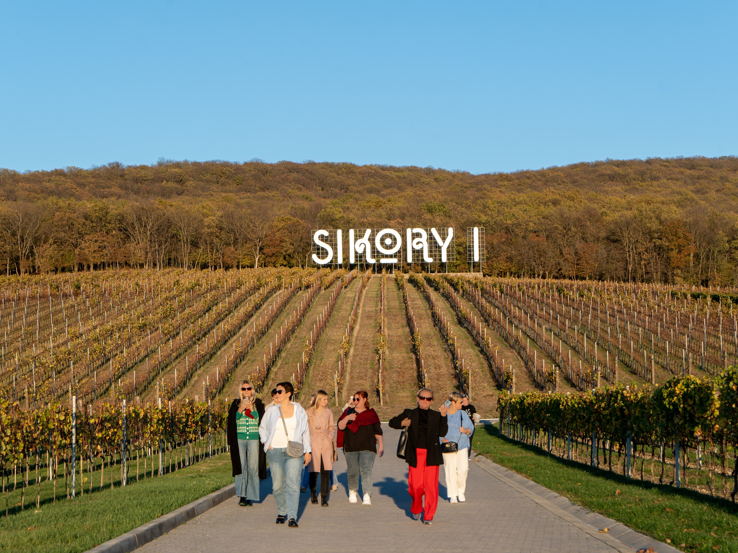 Литературная мастерская с Ольгой Шутовой в «Винотеррии». Репортажный фотограф в Красной Поляне и Сочи Павлюченко Екатерина