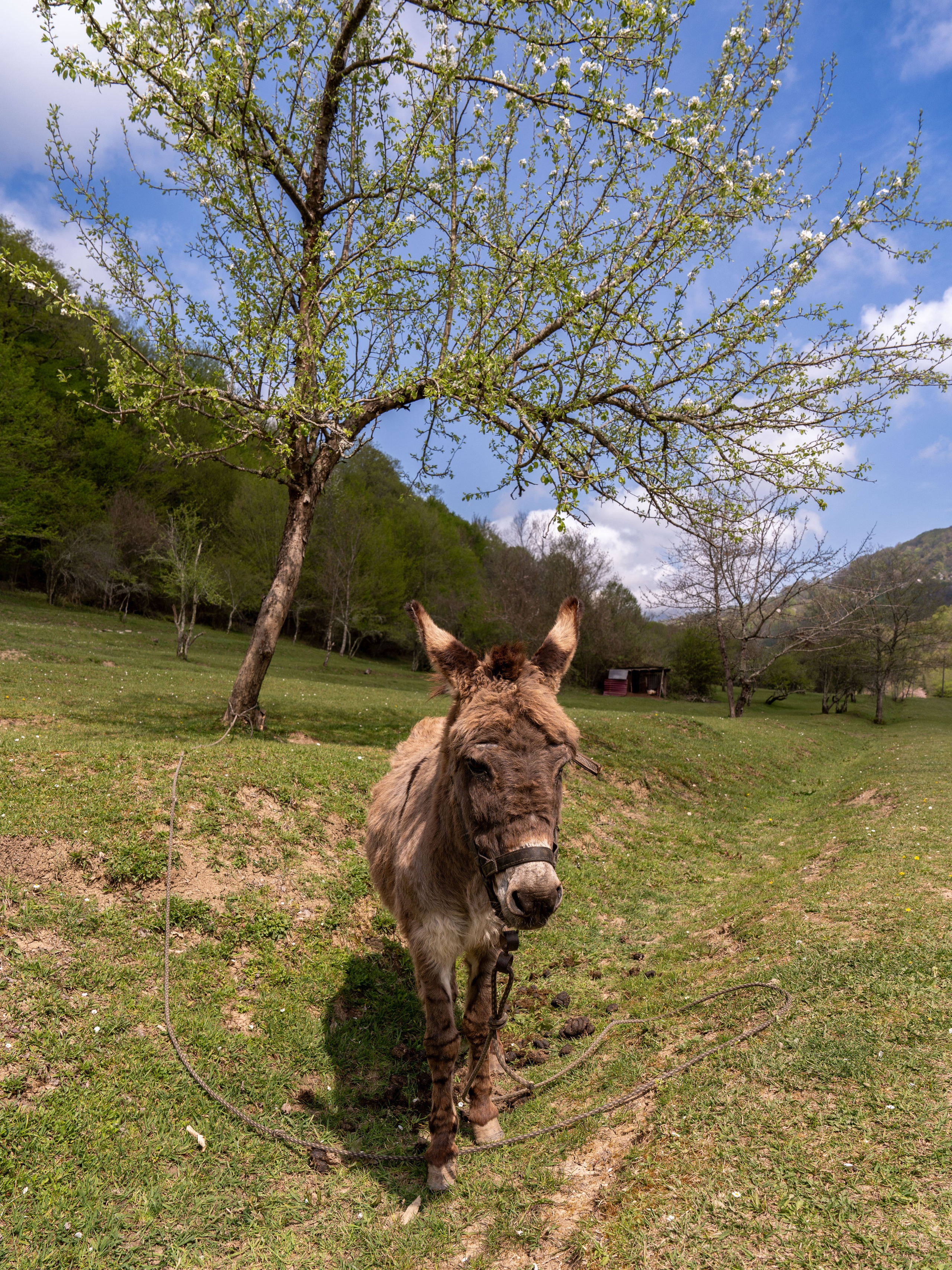 MICE мероприятие — джиппинг на каньон Псахо. Репортажный фотограф в Красной Поляне и Сочи Павлюченко Екатерина