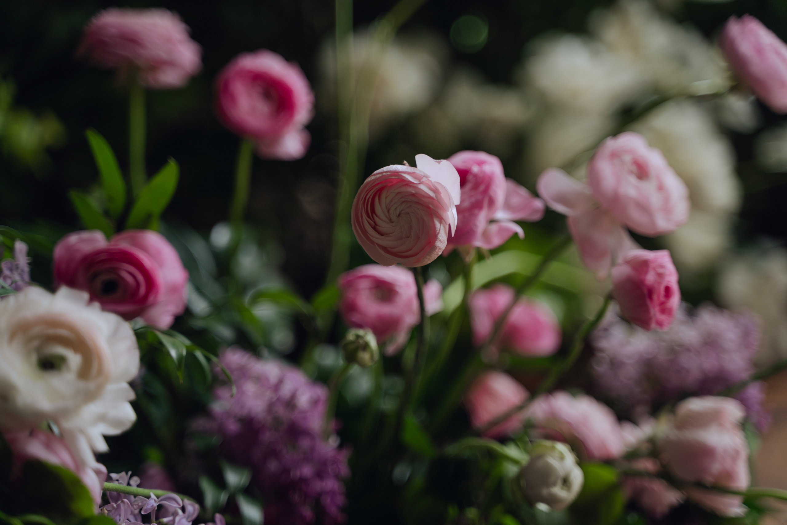 The Secret Garden. Портретный фотограф в Краснодаре Валерия Матирная