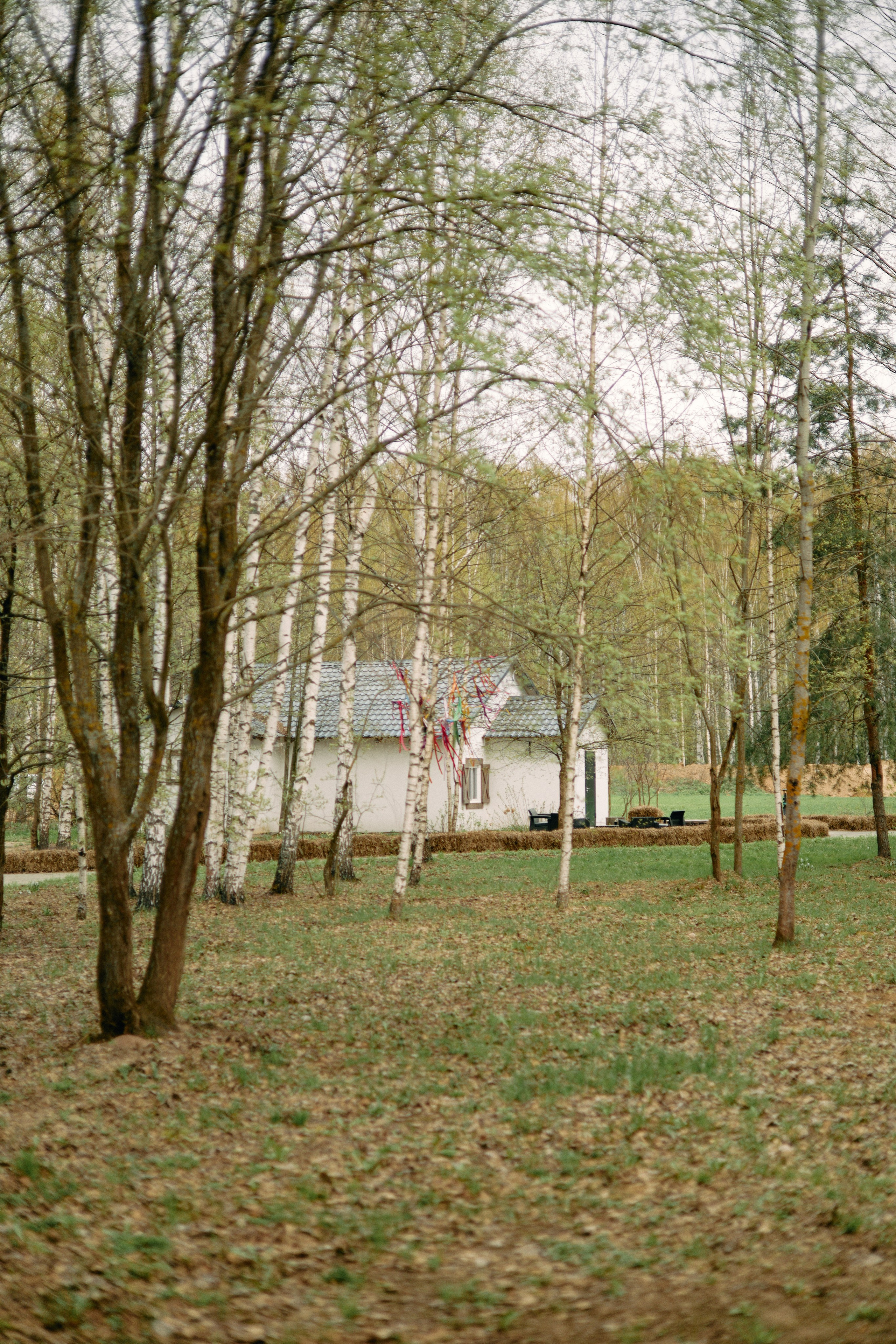 Бутик-отель Поле летом. Профессиональный Фотограф во Владимире, в Москве и в Суздале — Полина Романычева