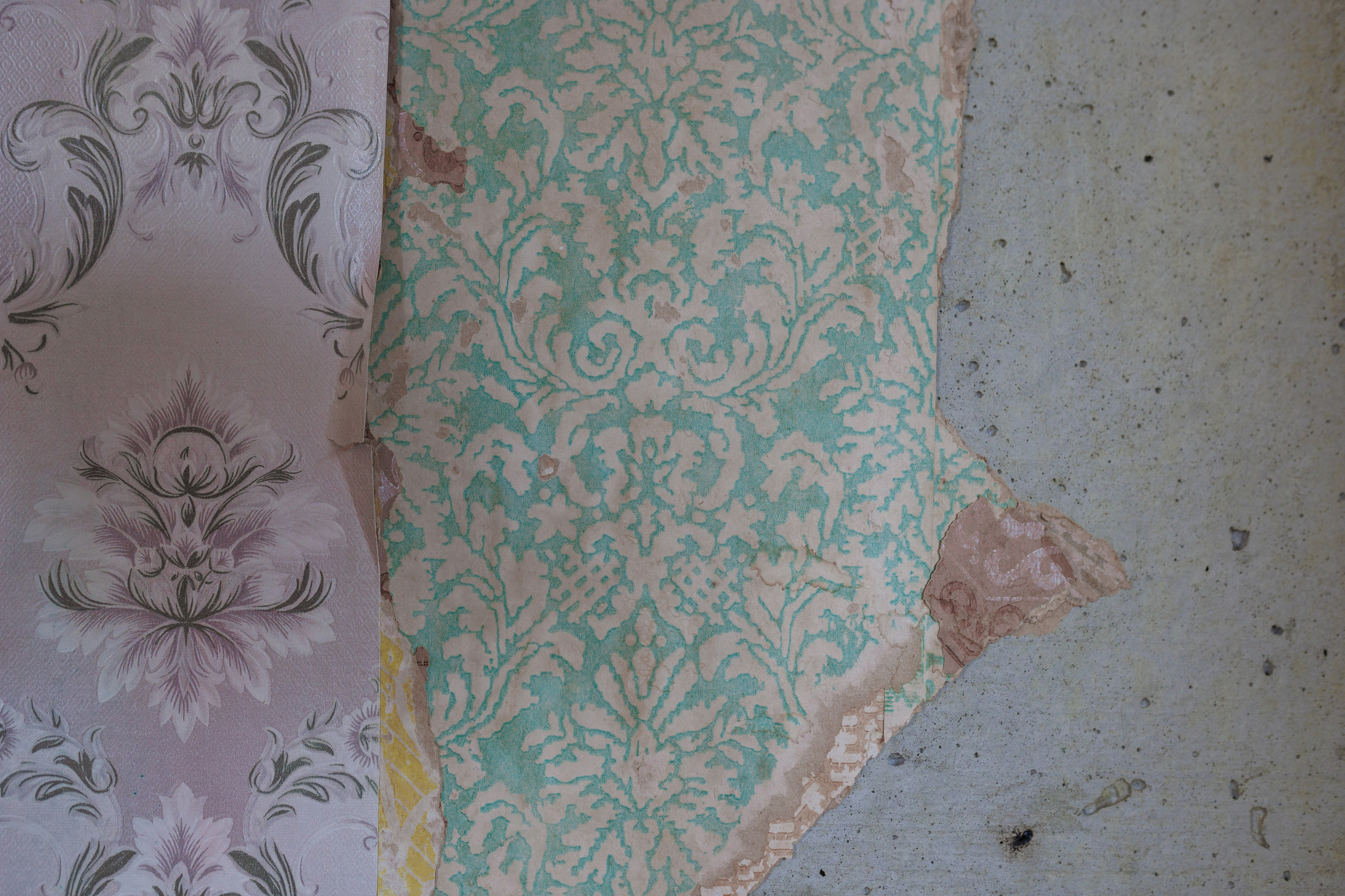 Счастливая жизнь в квадрате. Фотограф городских и семейных событий Артем Карпухин