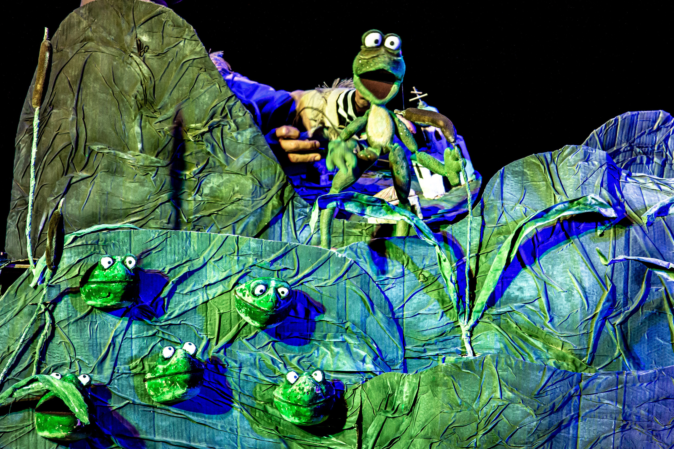 Спектакль театра Саквояж Лягушка путешествиница. Фотограф в Сочи Юрий Шептаев