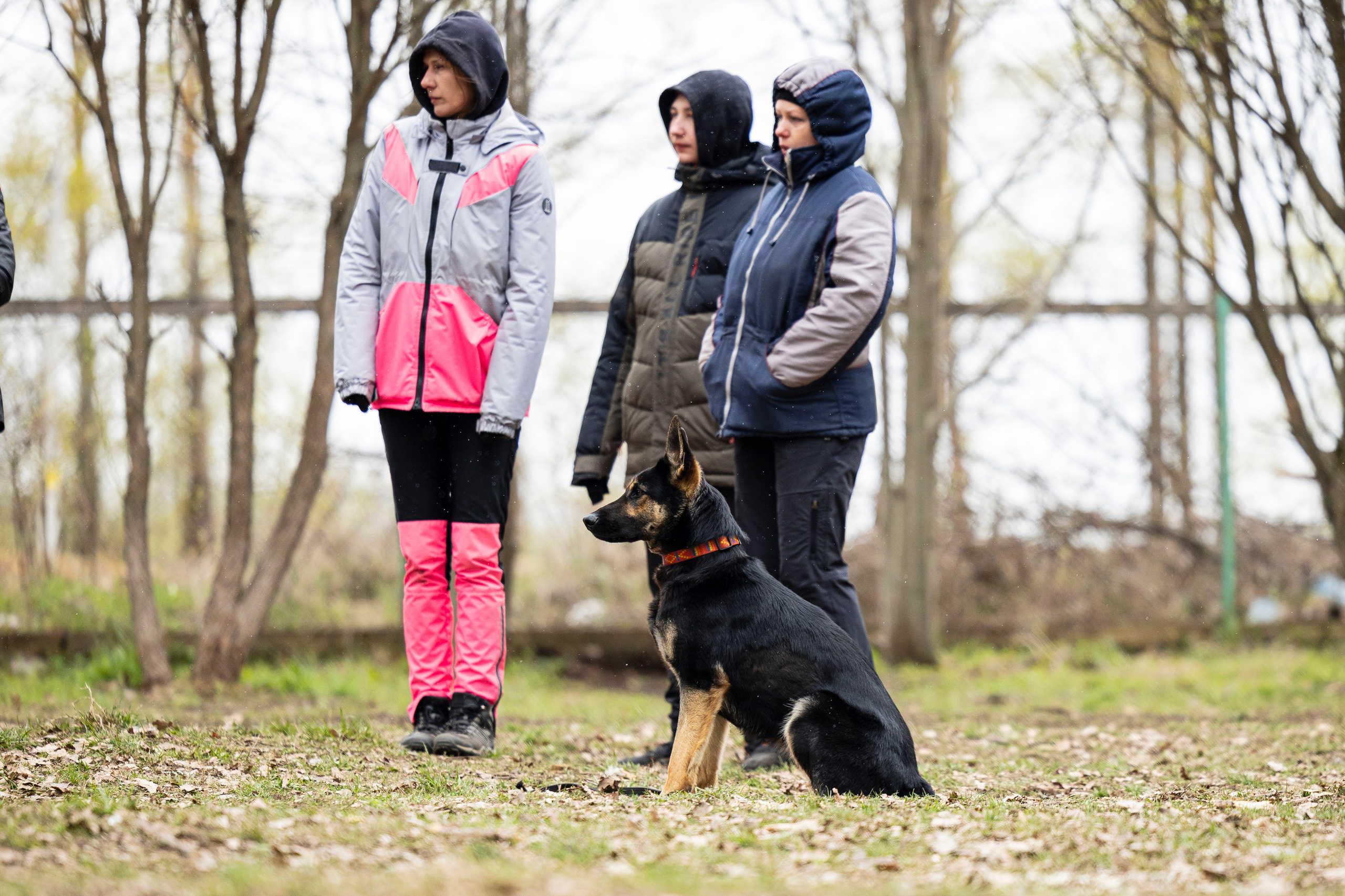 Квалификационные состязания по мондьорингу г. Вологда 11.05.24. Фотограф-анималист Анна Маринич