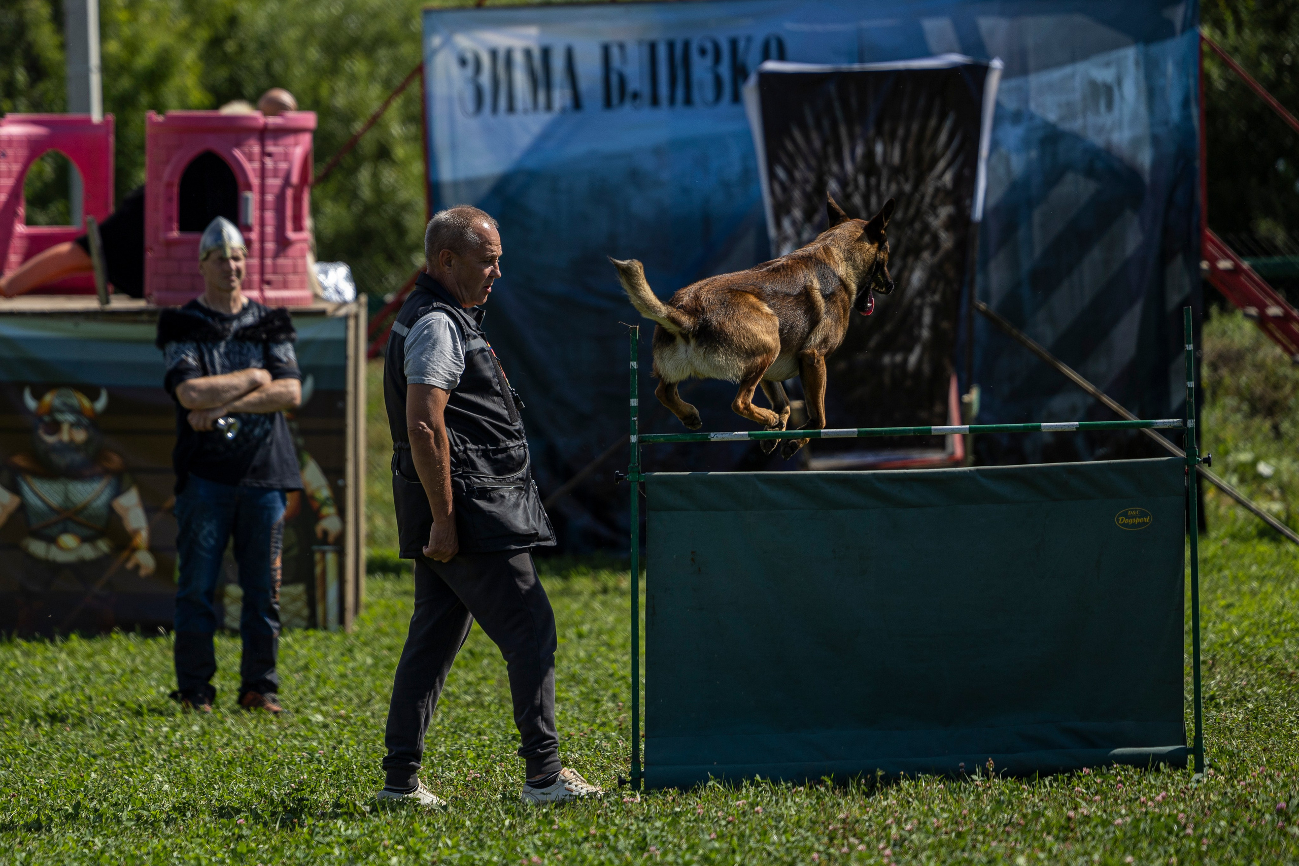 Соревнования по Мондьорингу г. Вологда 10-11.08.2024. Фотограф-анималист Анна Маринич