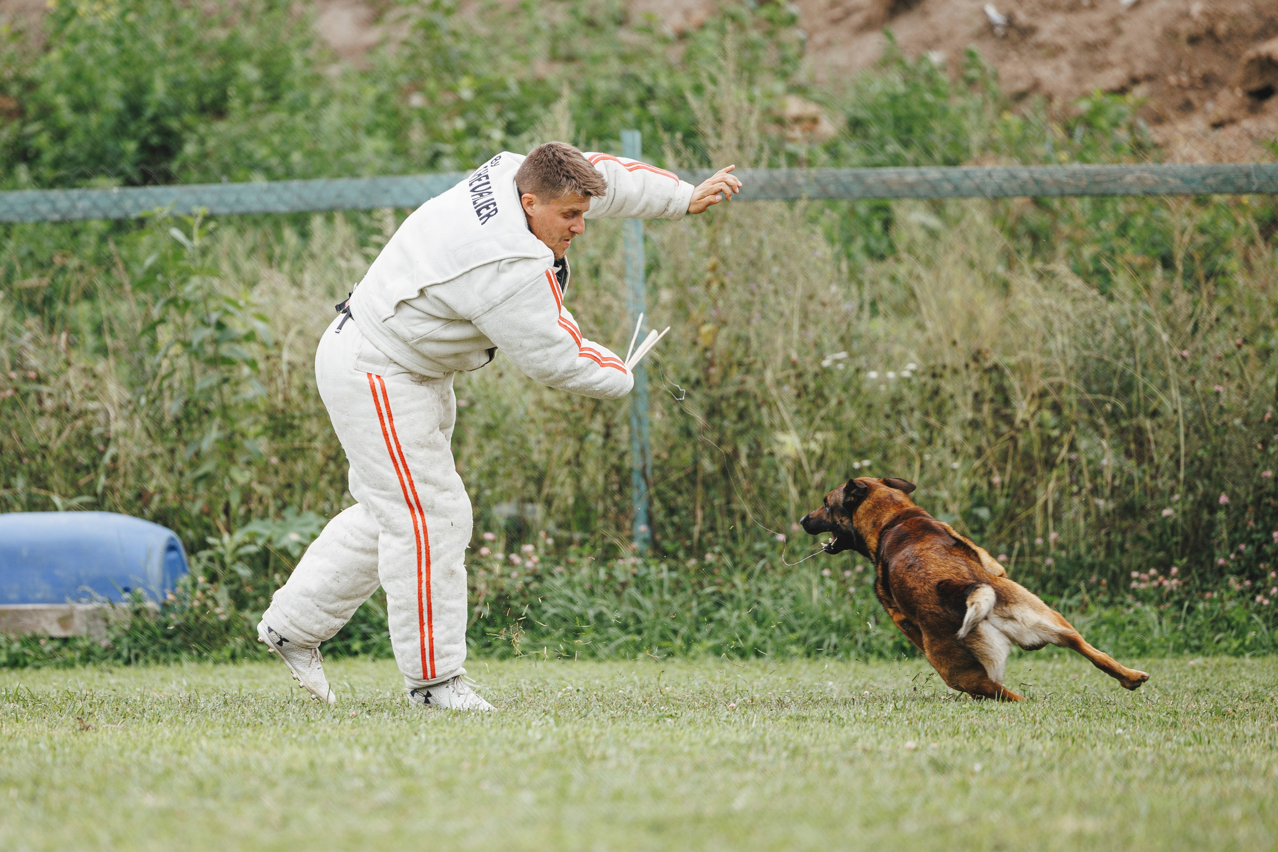 08.08.25-10.08.25 ЧР по мондьорингу г. Вологда. Фотограф-анималист Анна Маринич