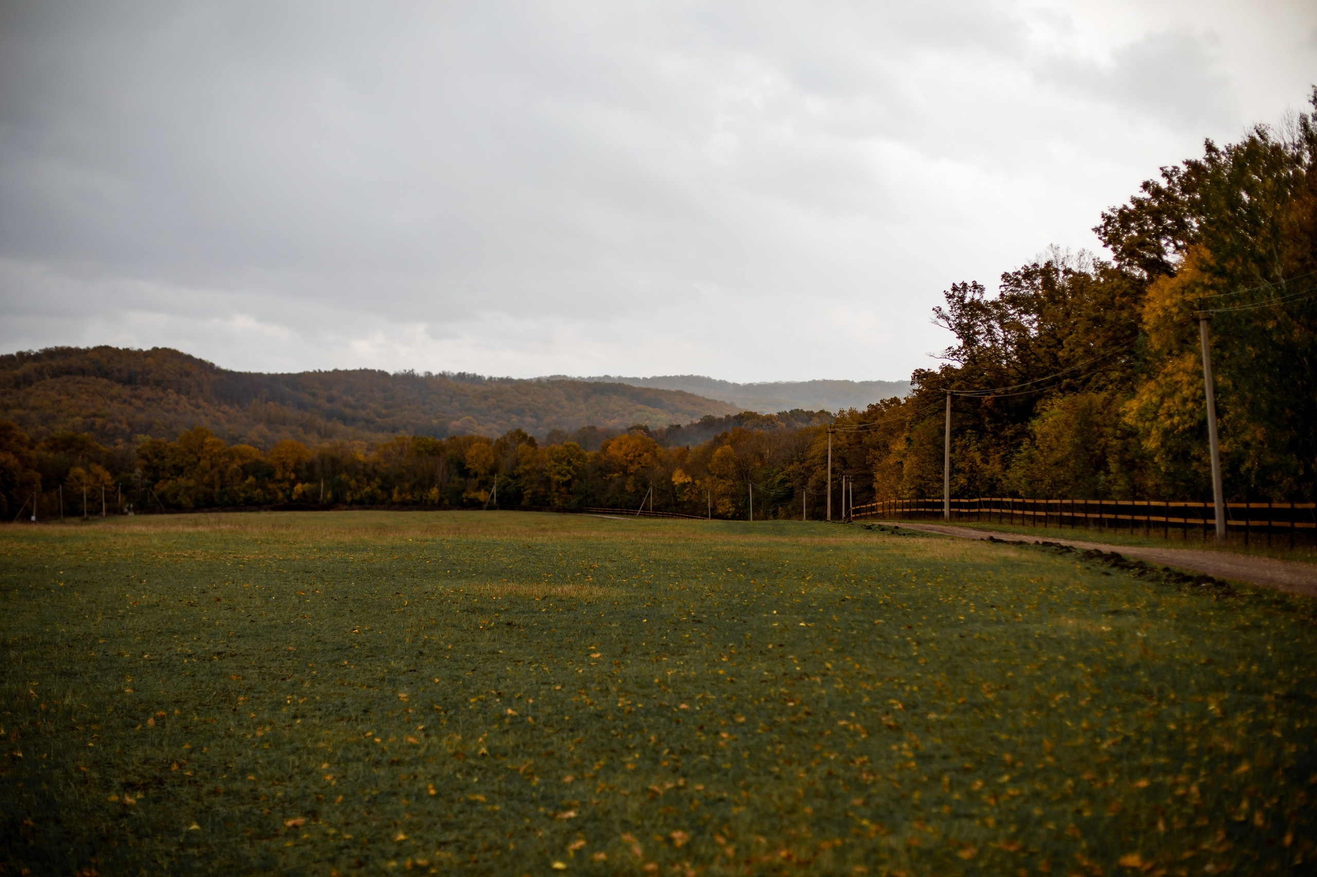 Ферма Владимировка. Свадебный и семейный фотограф/видеограф в Краснодаре Наталья Осинская