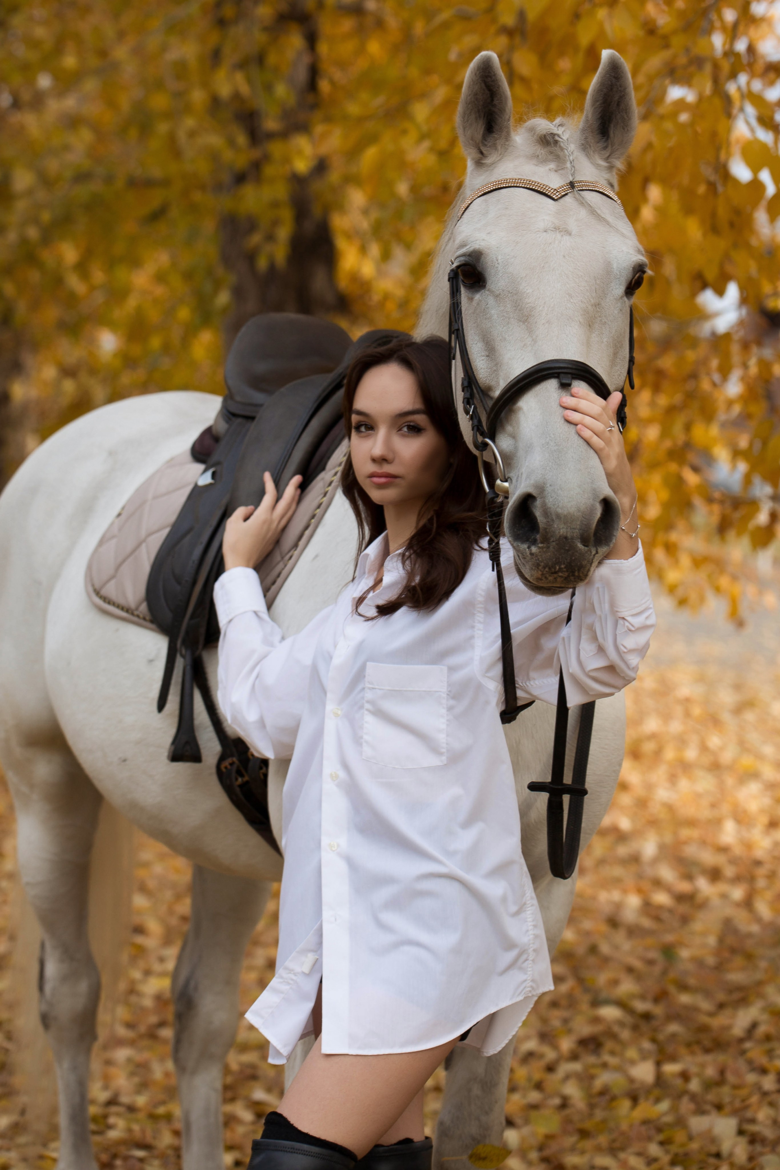 Зина и Пэрис. Конный фотограф в Красноярске — Любовь Похабова