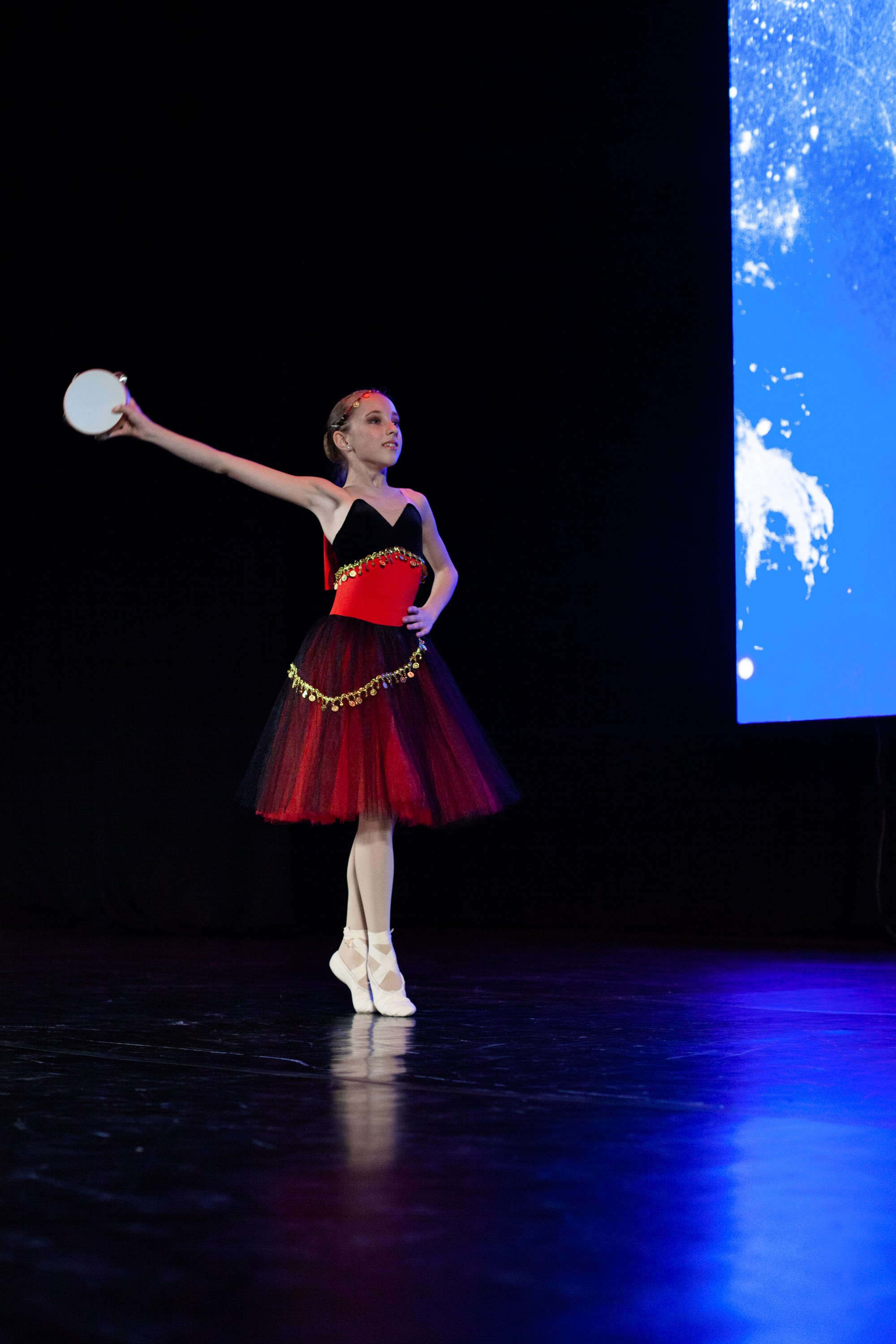 Концерты. Виолетта Скрипка