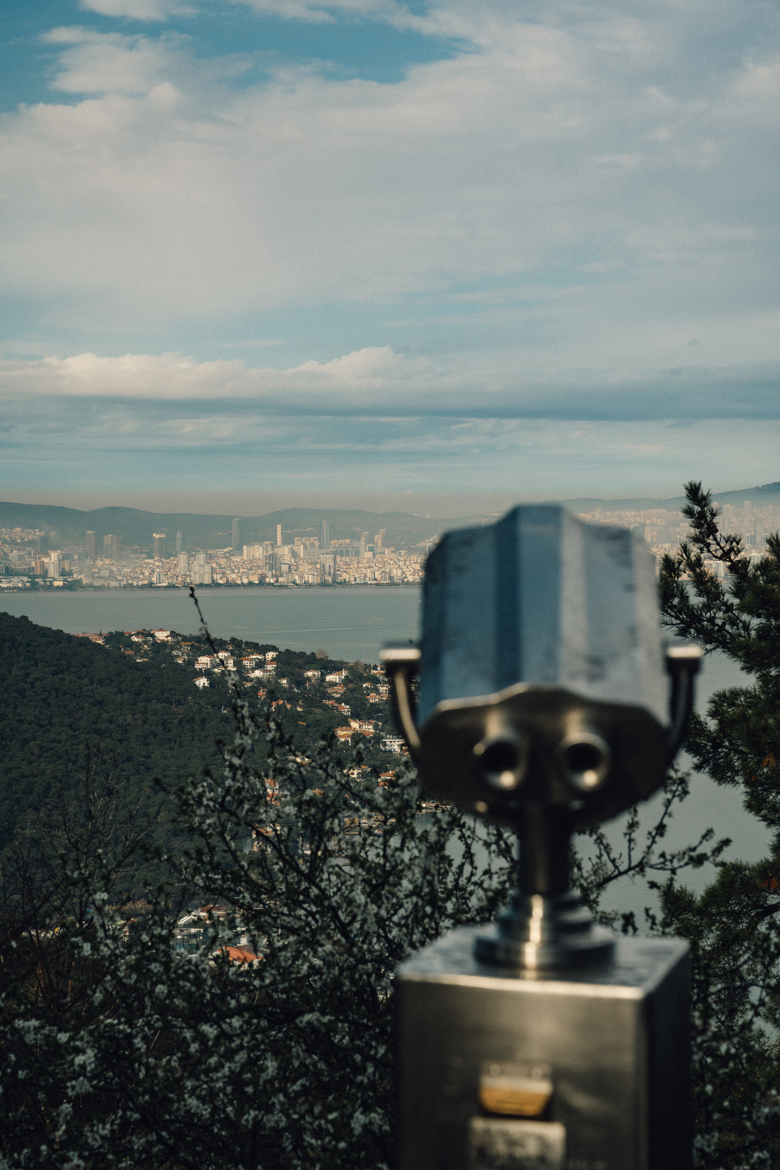 Street. Если ты на Земле — звони