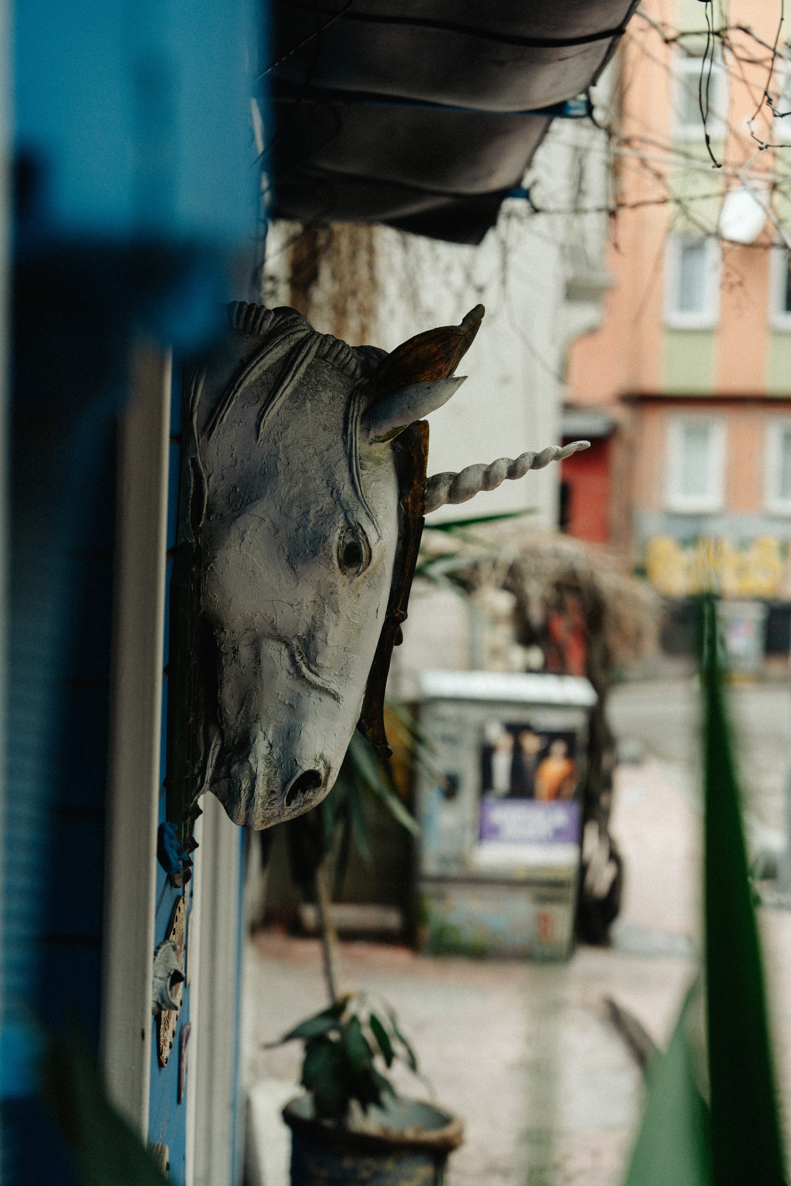 Street. Если ты на Земле — звони