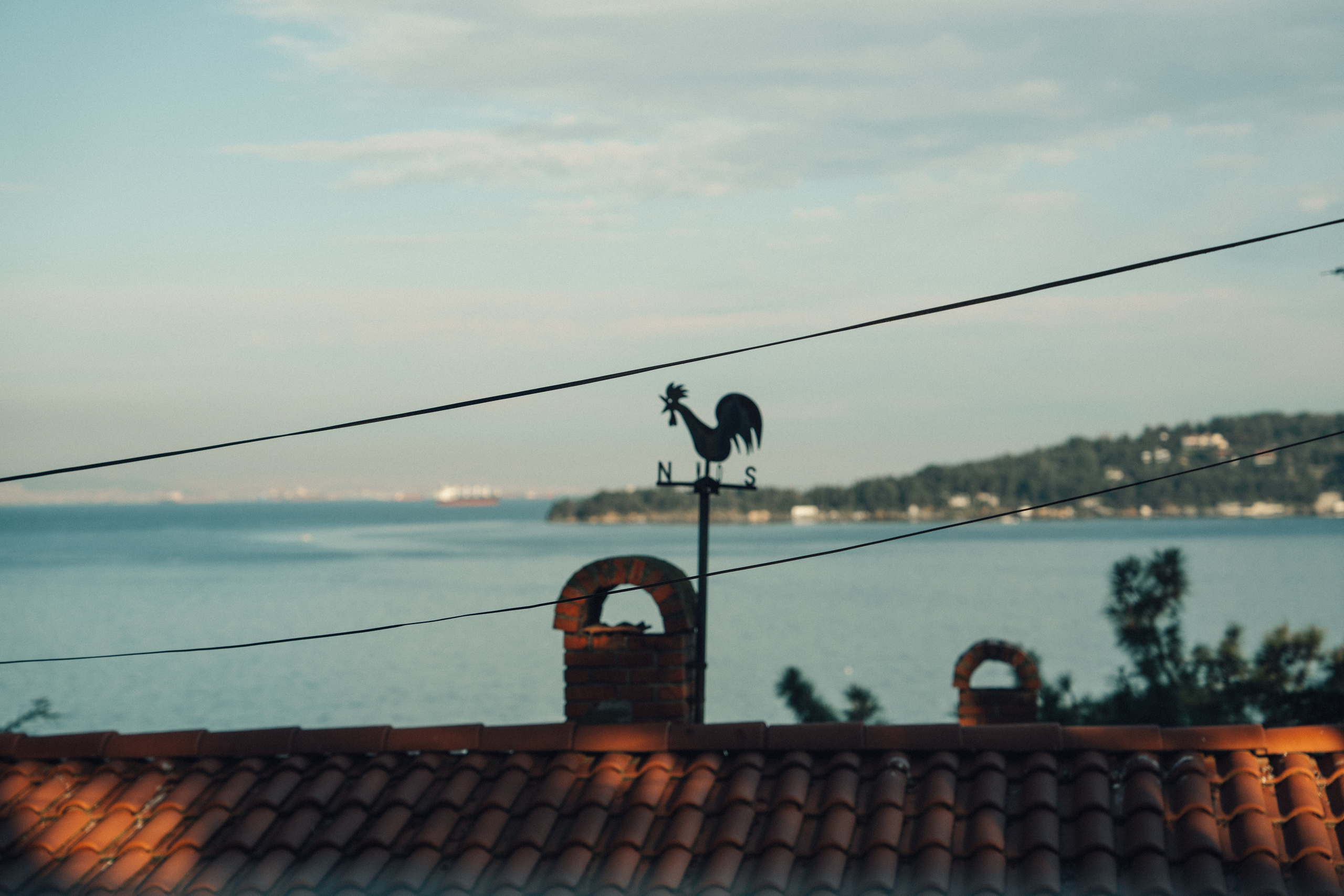 Street. Если ты на Земле — звони