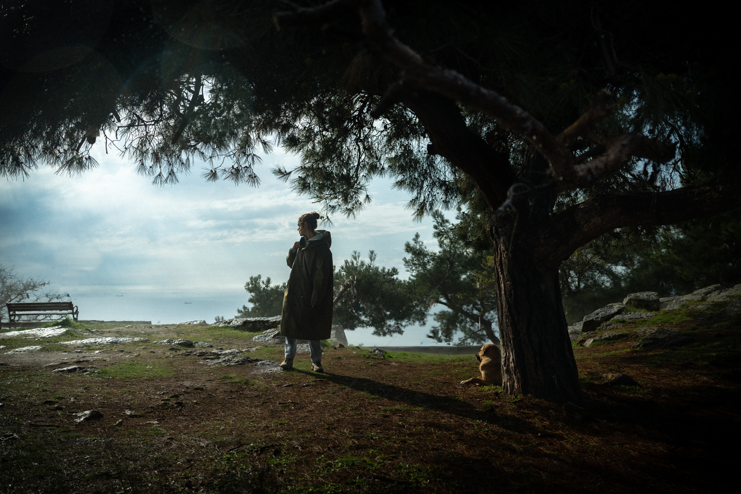 Street. Если ты на Земле — звони