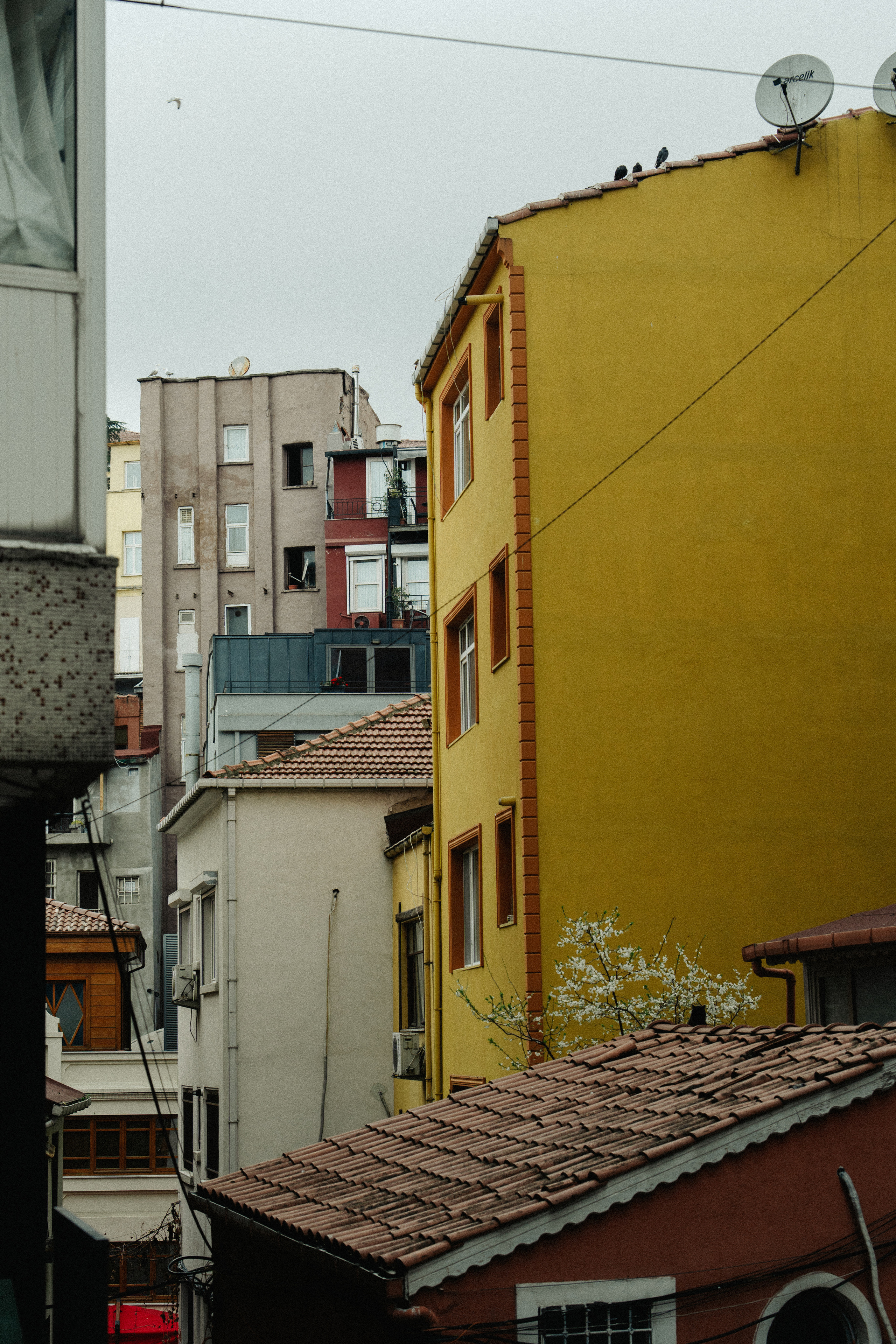 Street. Если ты на Земле — звони