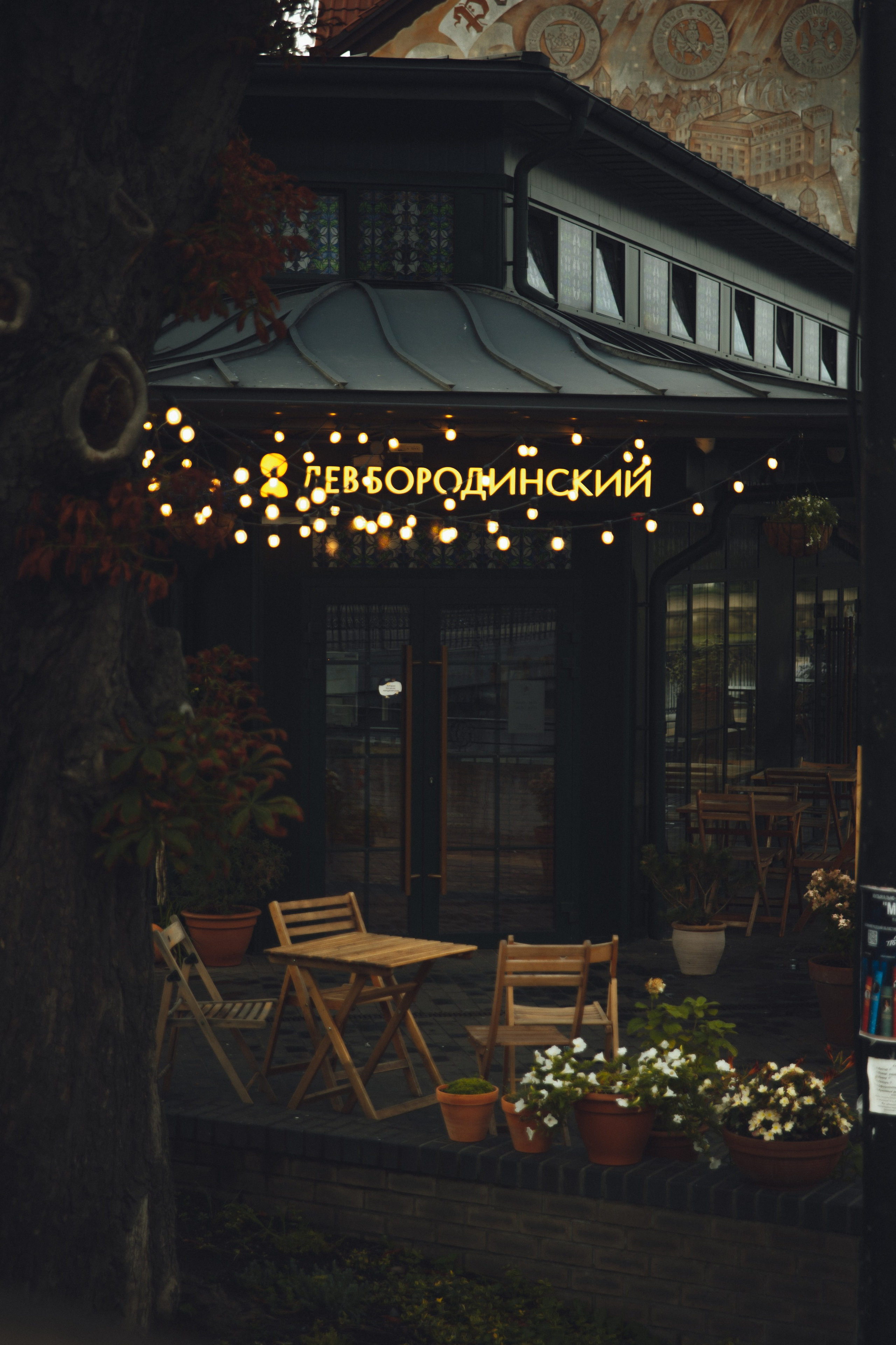 Элизабет / Экспресс О.Канта. Фотограф Калининград Илья Миллер