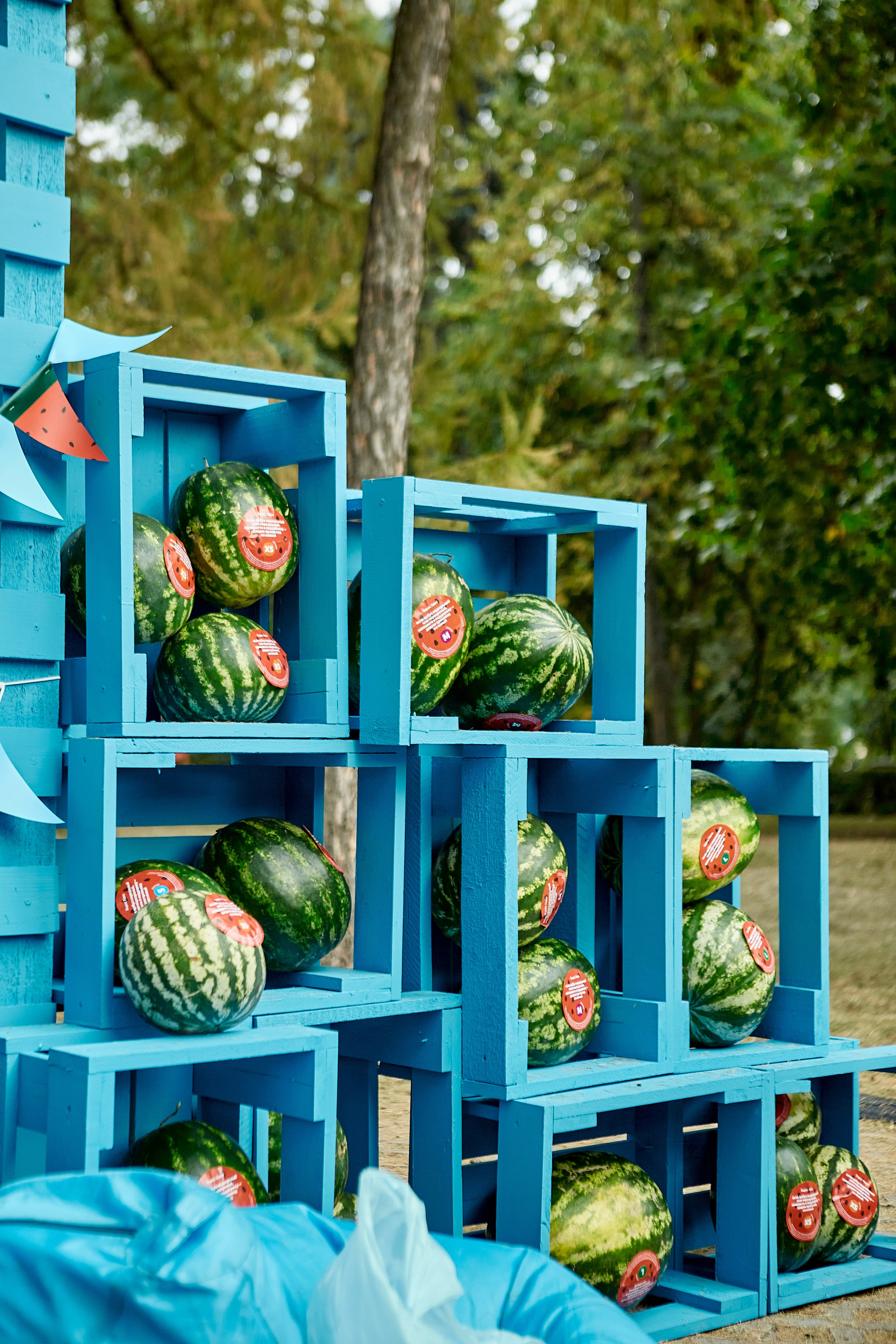 ЯНДЕКС ЛАВКА «АРБУЗНАЯ ФЕЕРИЯ». Фотограф Андрей Егоров
