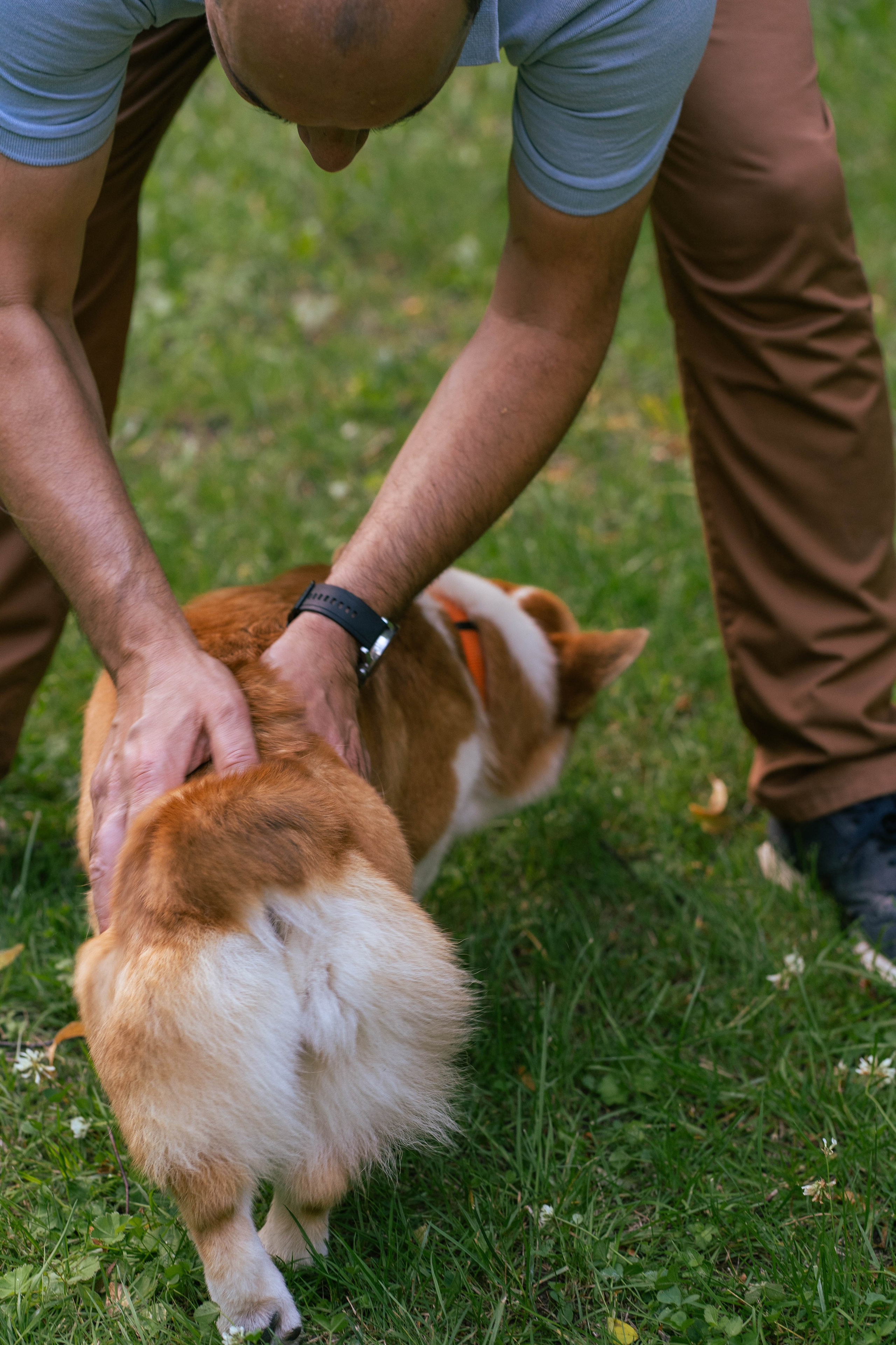 Ольга и коржики. Свадебный фотограф в Москве Анна Полушина