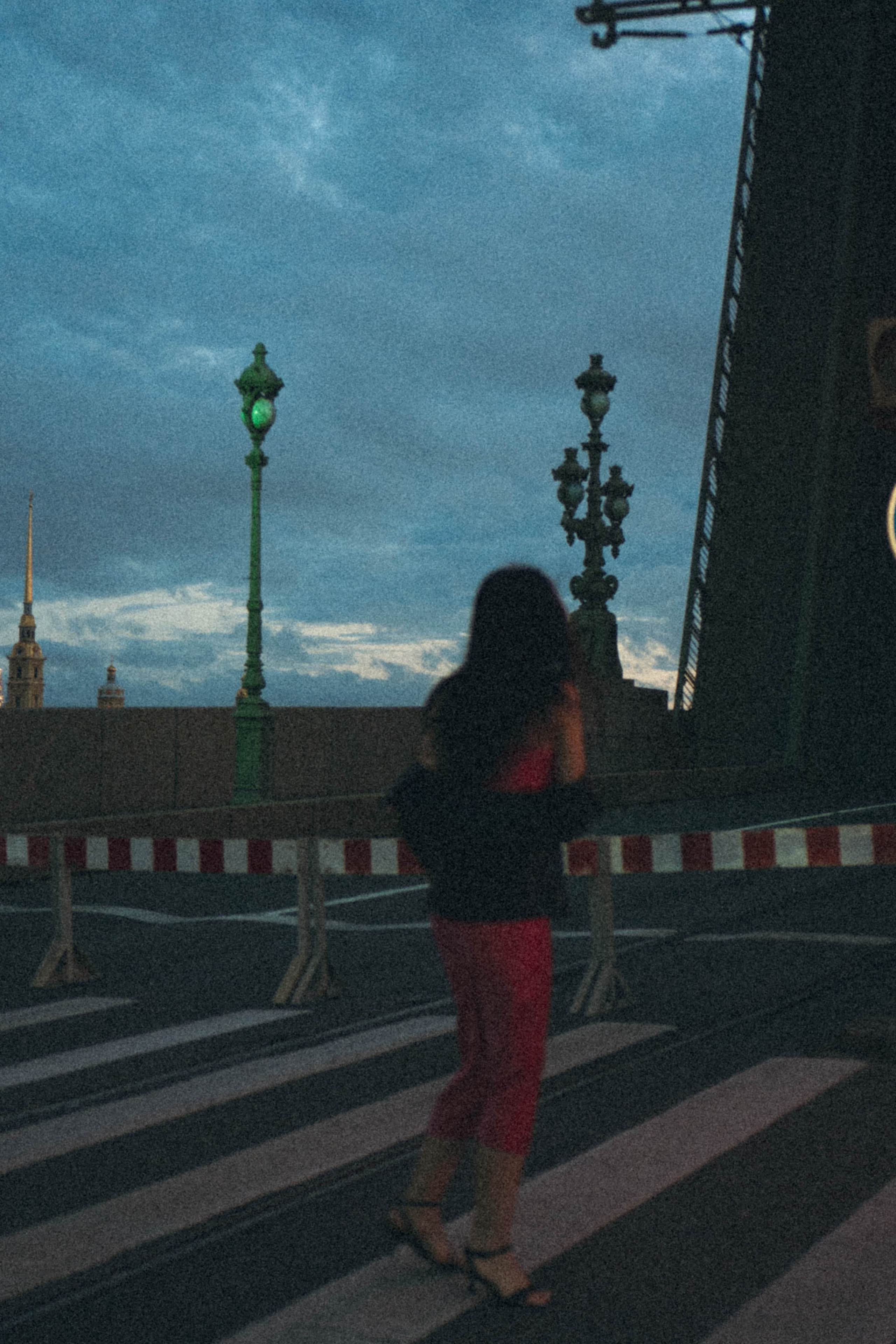 Ночная серия. Профессиональный фотограф, Санкт-Петербург — Виктория Богомолова