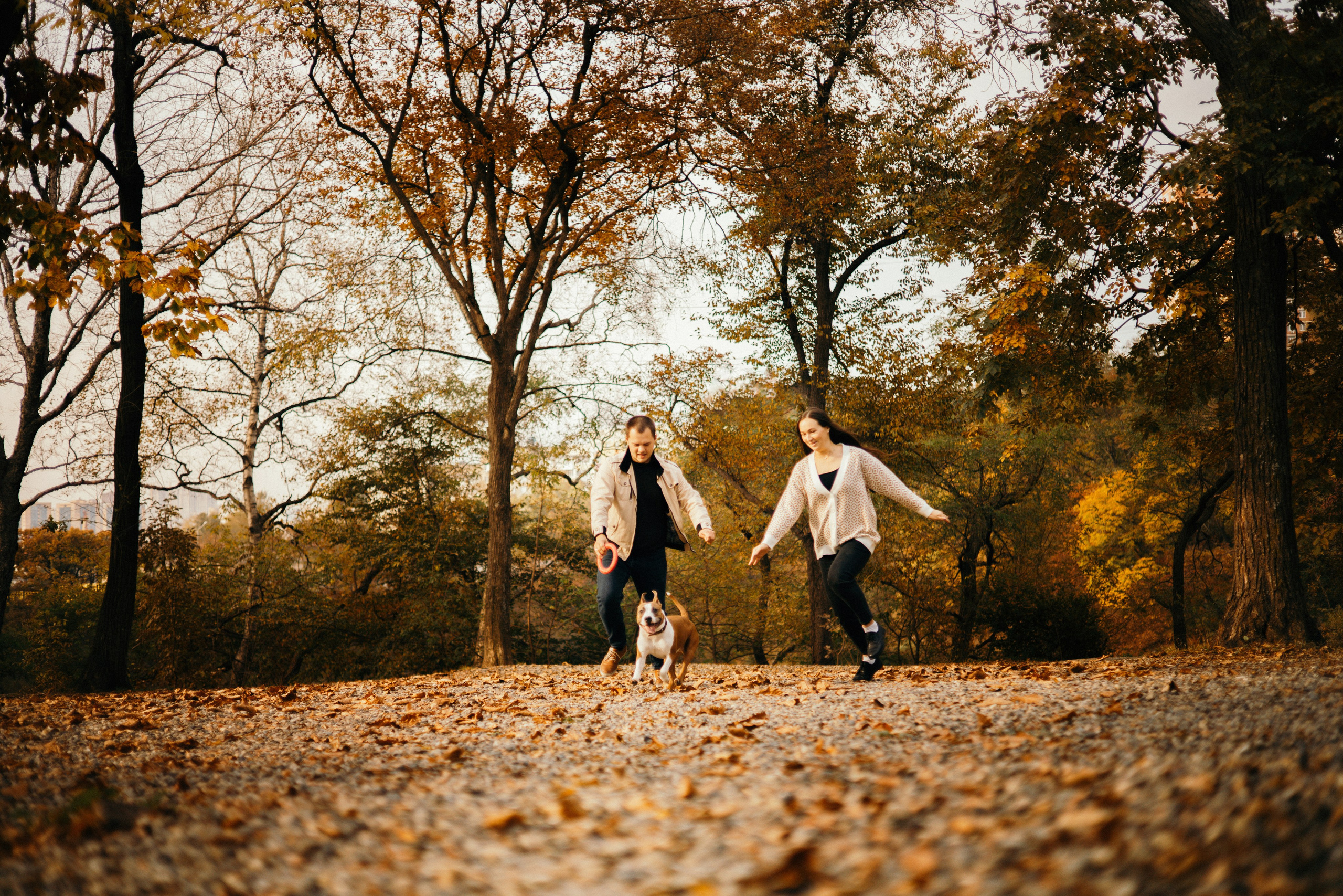 Лаффи и ее семья. Фотограф — анималист Владивосток, Алина