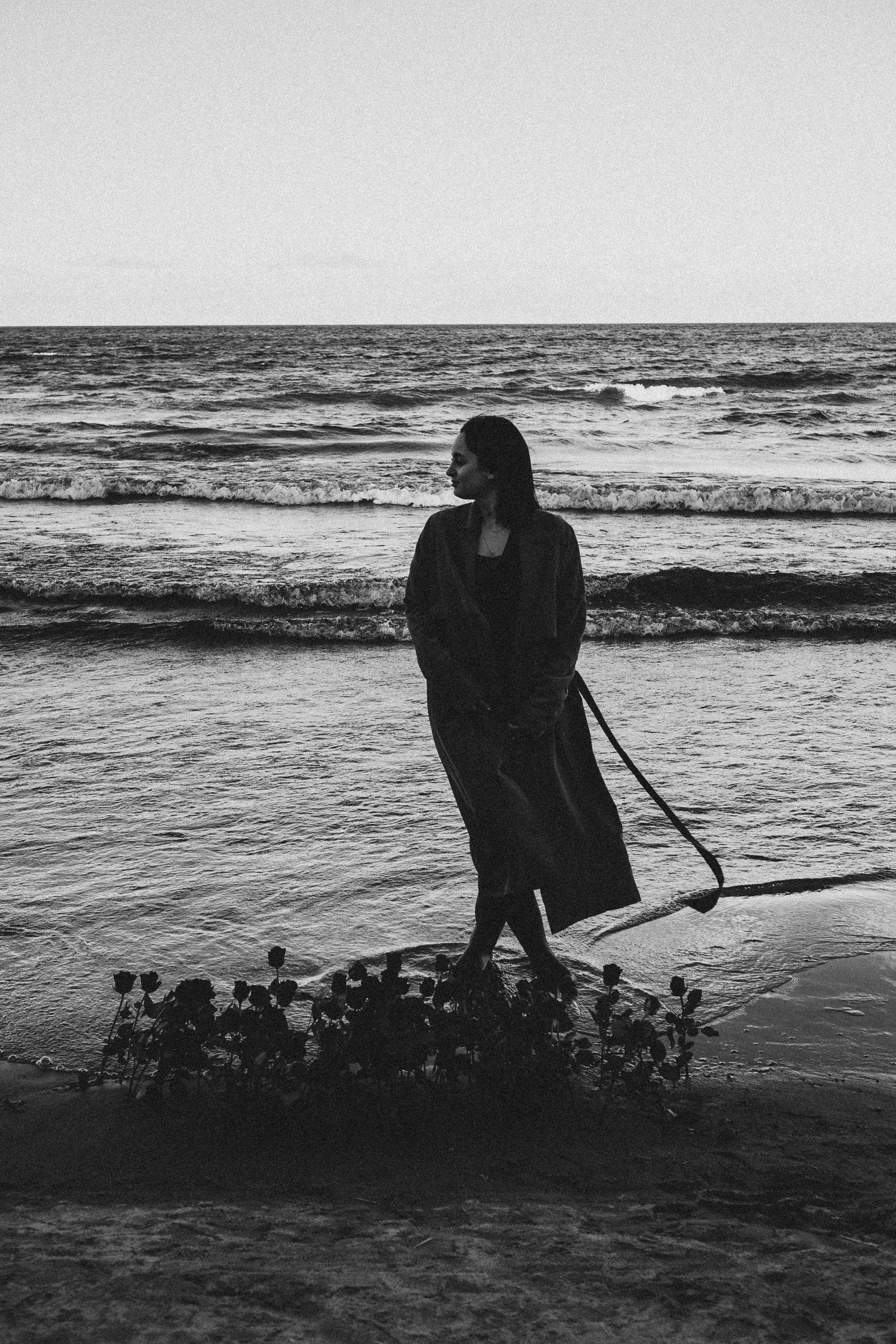 Розы. Профессиональный фотограф, Санкт-Петербург — Виктория Богомолова