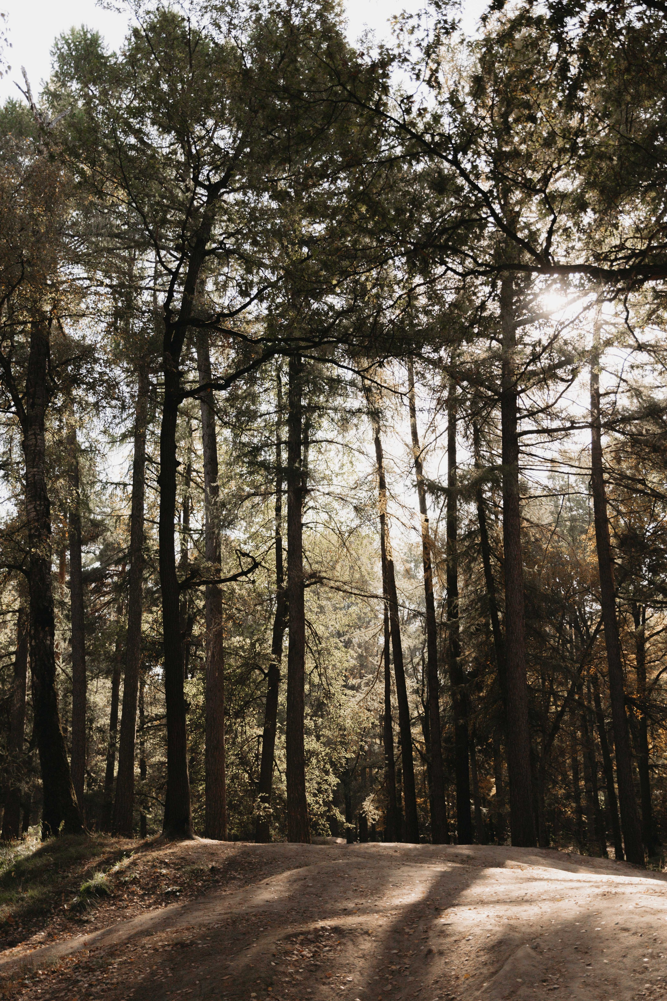 Ю & В. Женский и свадебный фотограф Москва Елизавета Перова