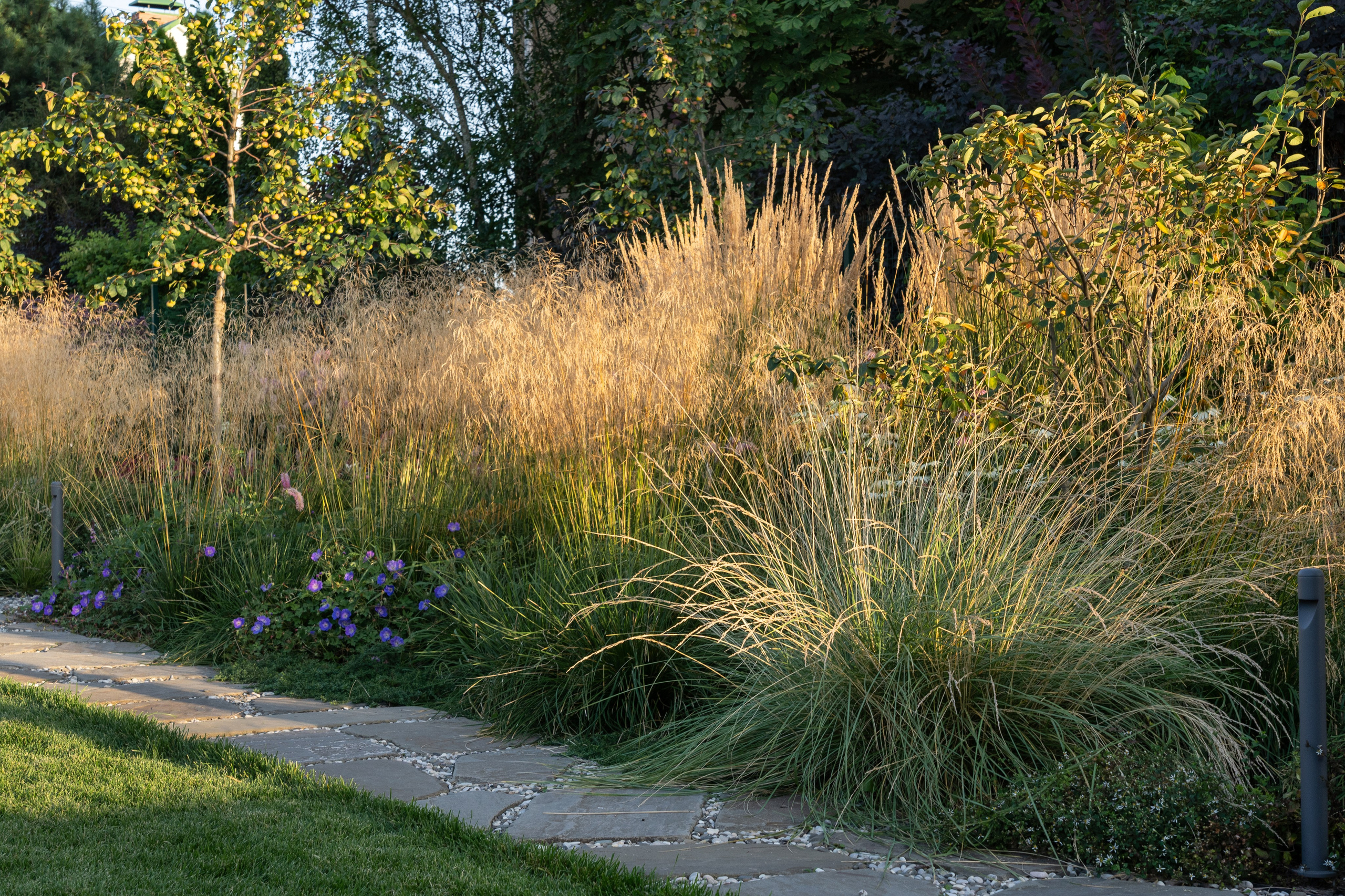 Framed landscape. Артамонов Александр | Архитектурный и ландшафтный фотограф