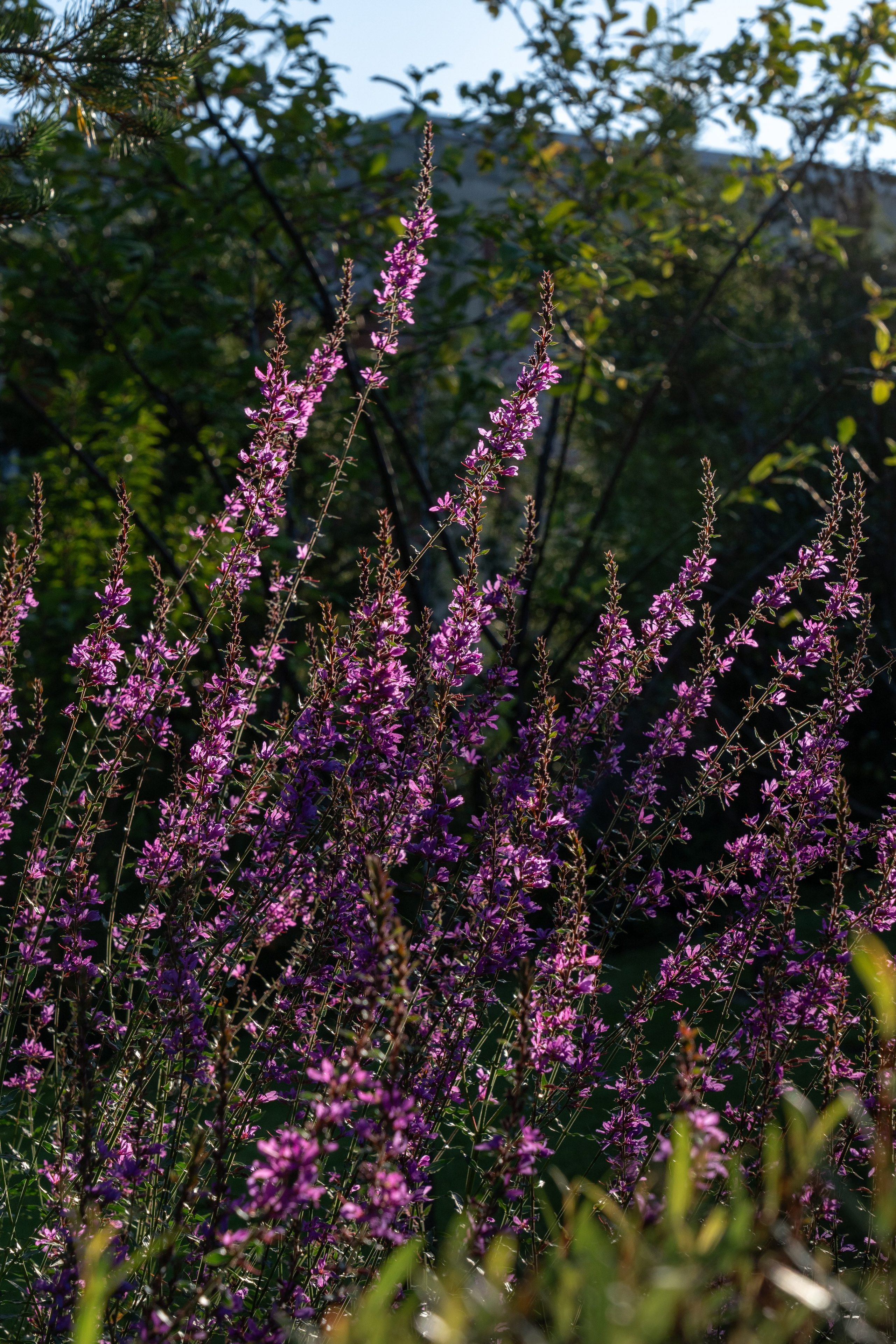 Private house, Moscow region. Артамонов Александр | Архитектурный и ландшафтный фотограф