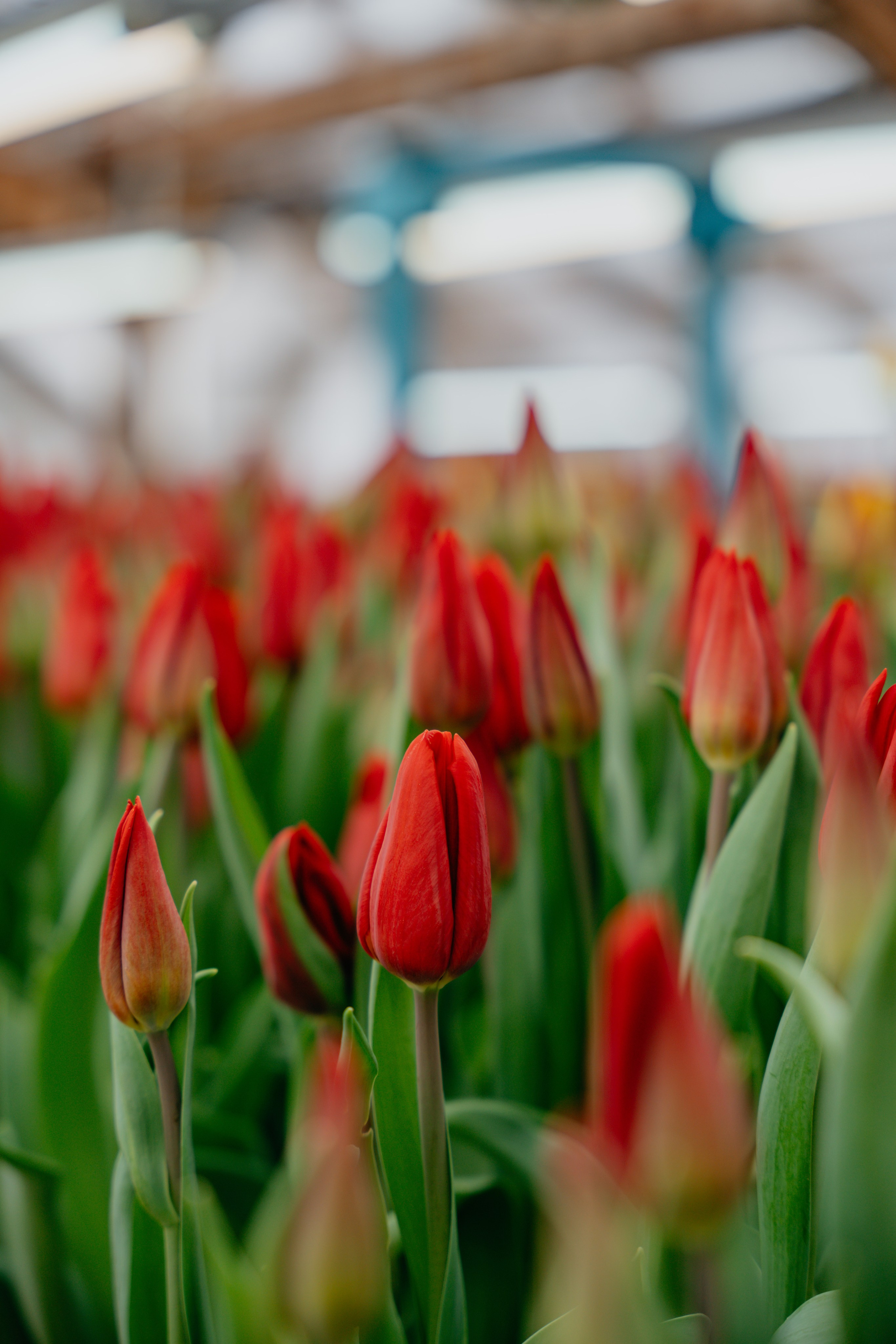 В душе весна