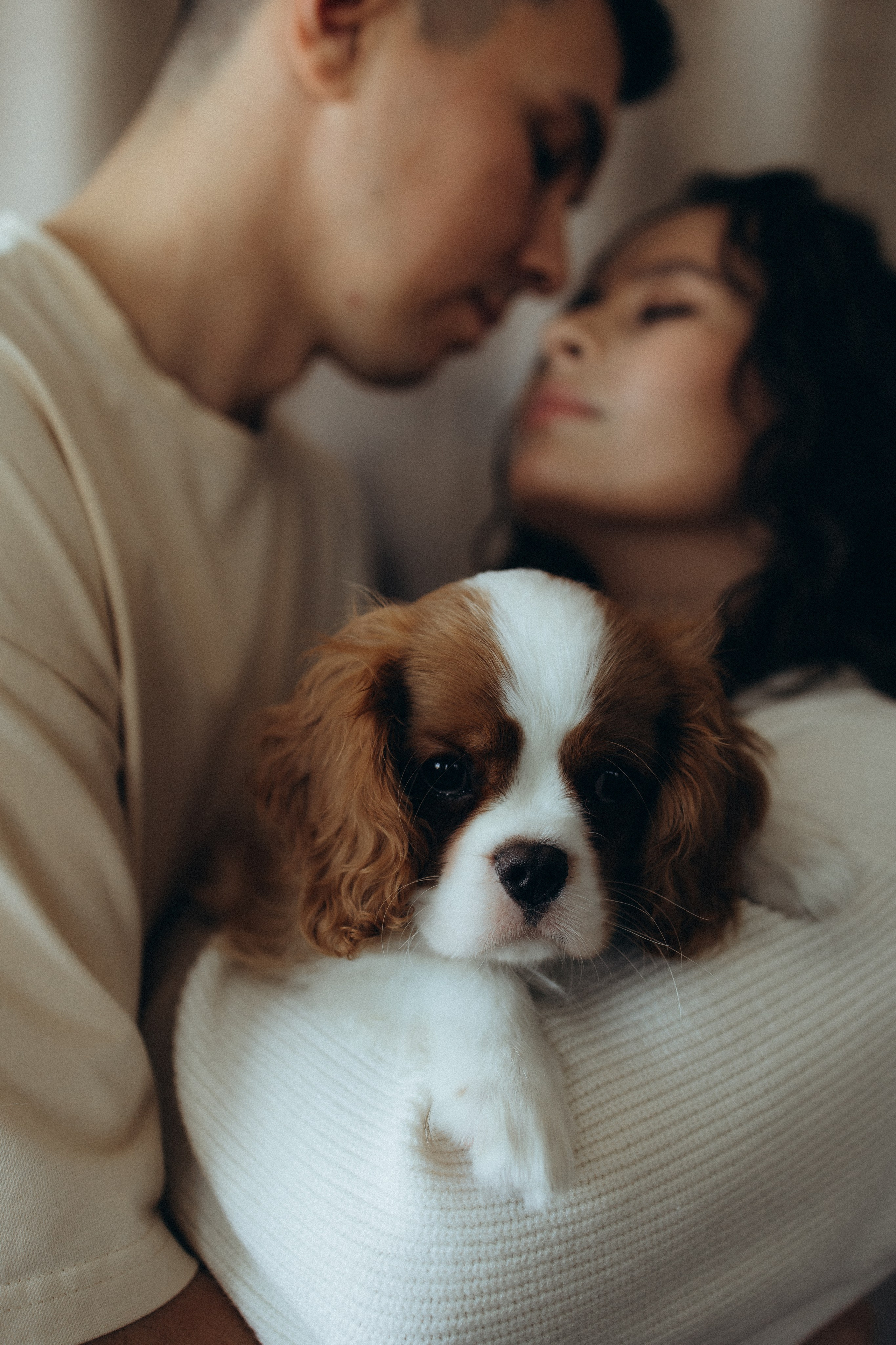 Ришат, Айгуль и пушистый малыш Йоко. Фотограф из Казани Мария Шамсутдинова