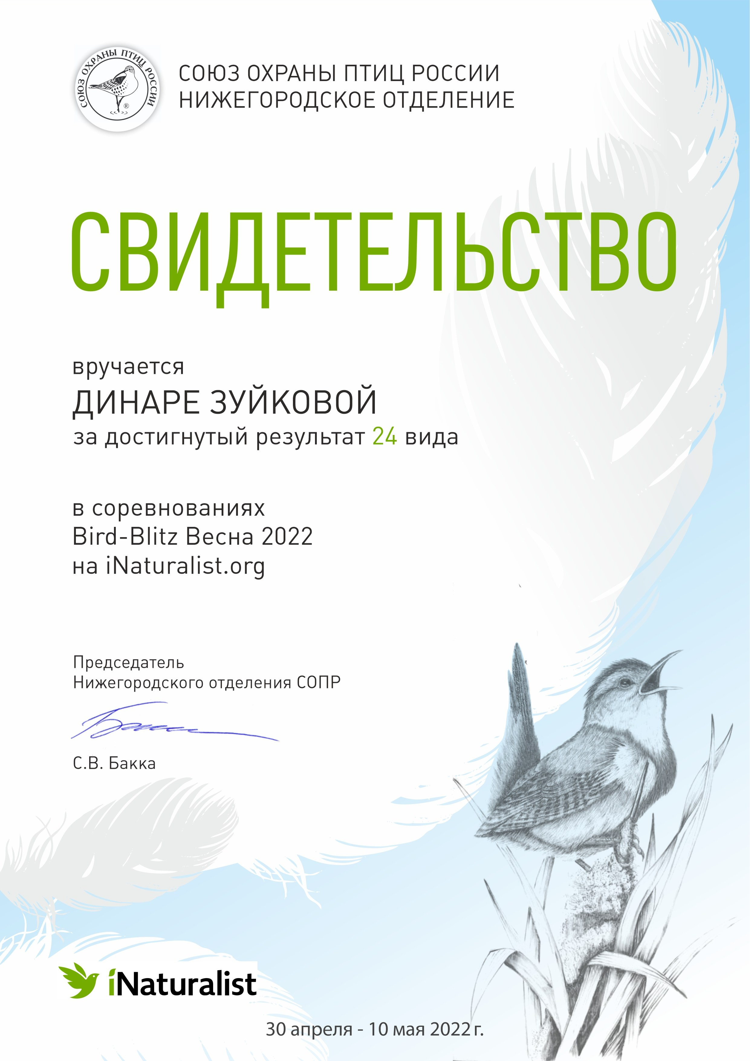 Дипломы. Мотофотограф в Нижнем Новгороде Динара Зуйкова