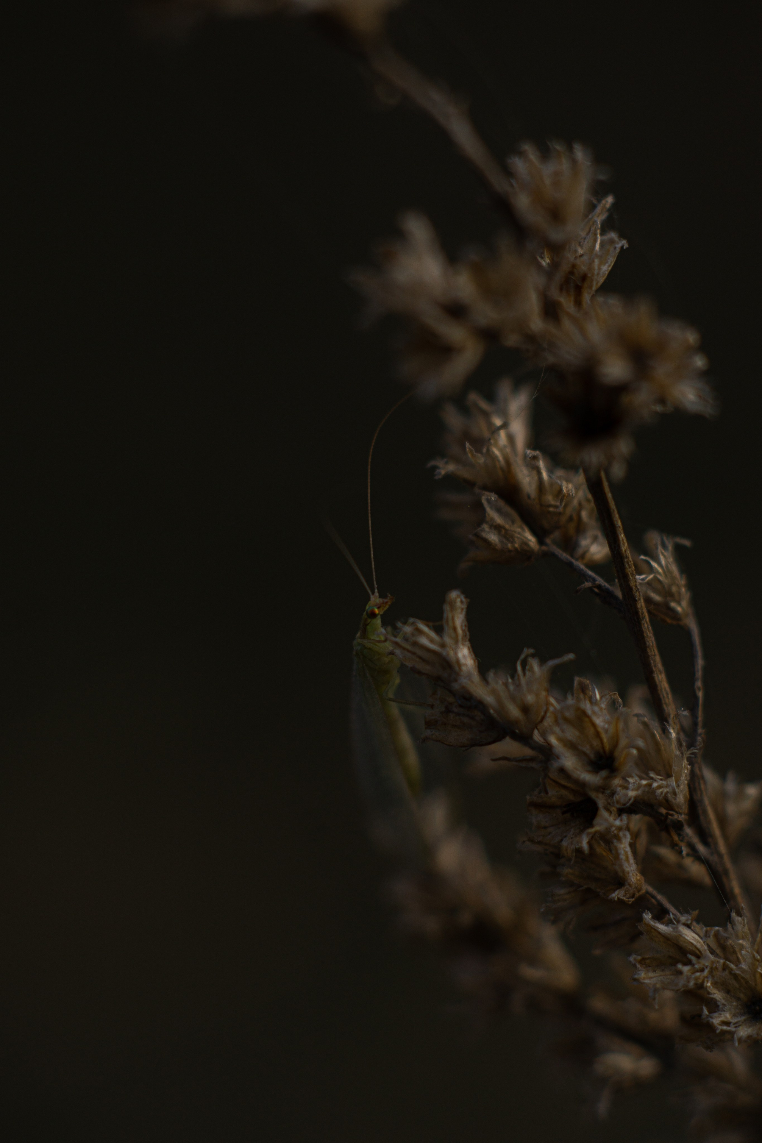 EXHIBITION. Репортажный и интерьерный фотограф, фотохудожник