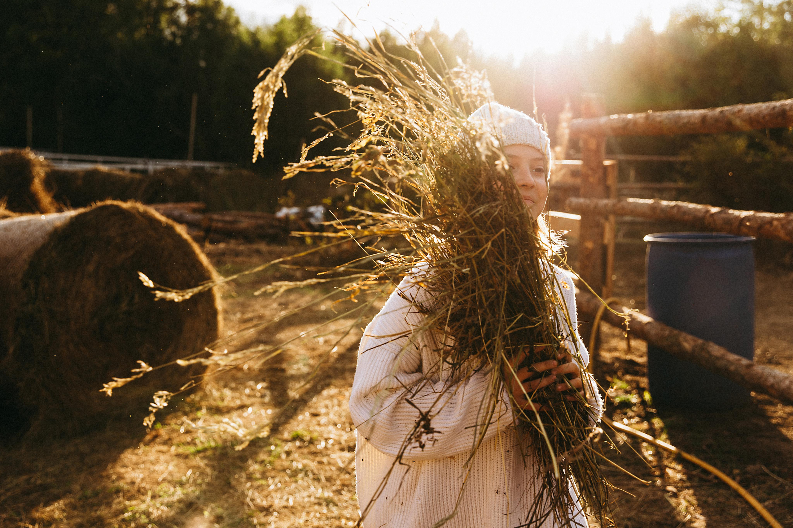 Country side. Главная