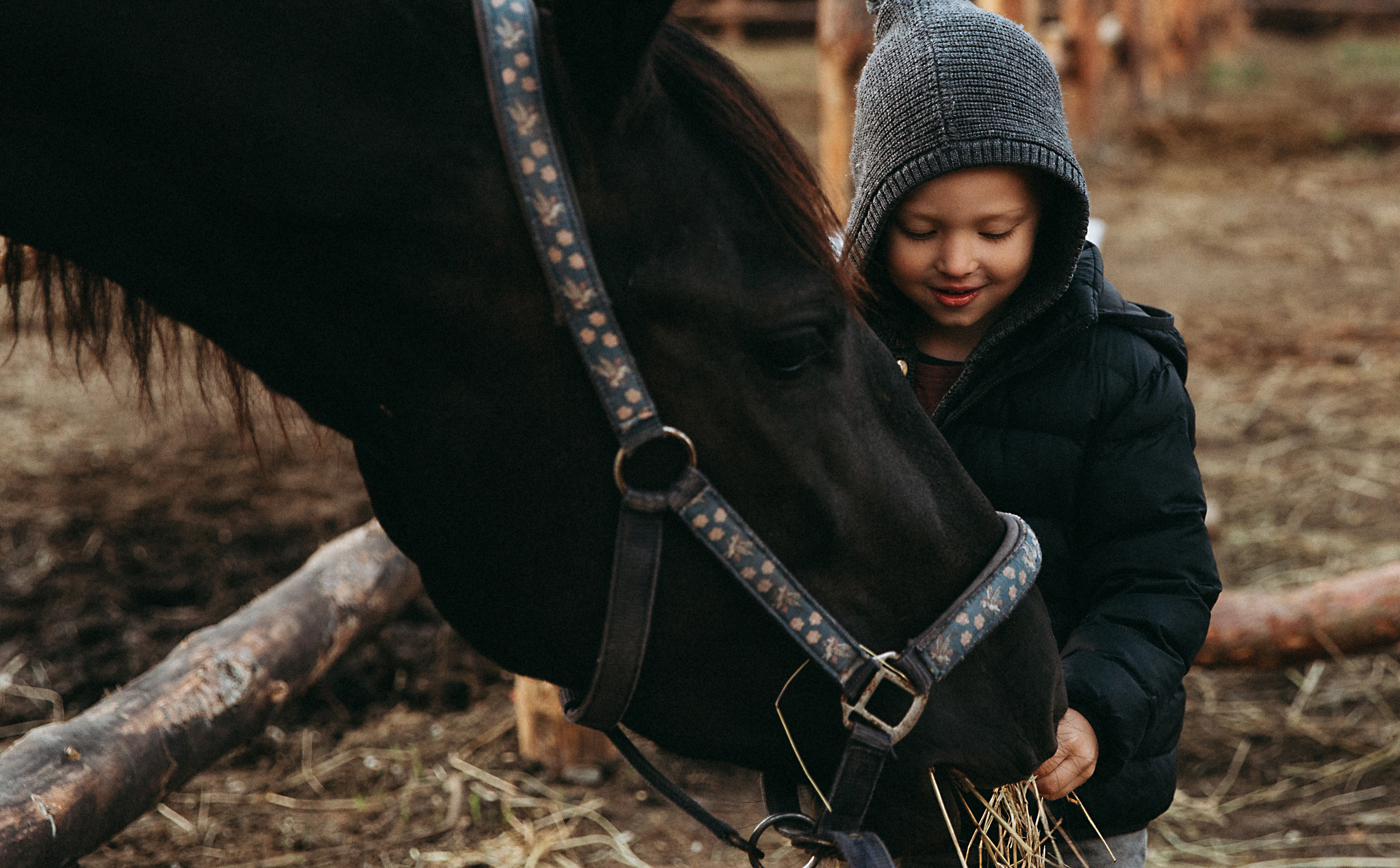 Country side. Главная