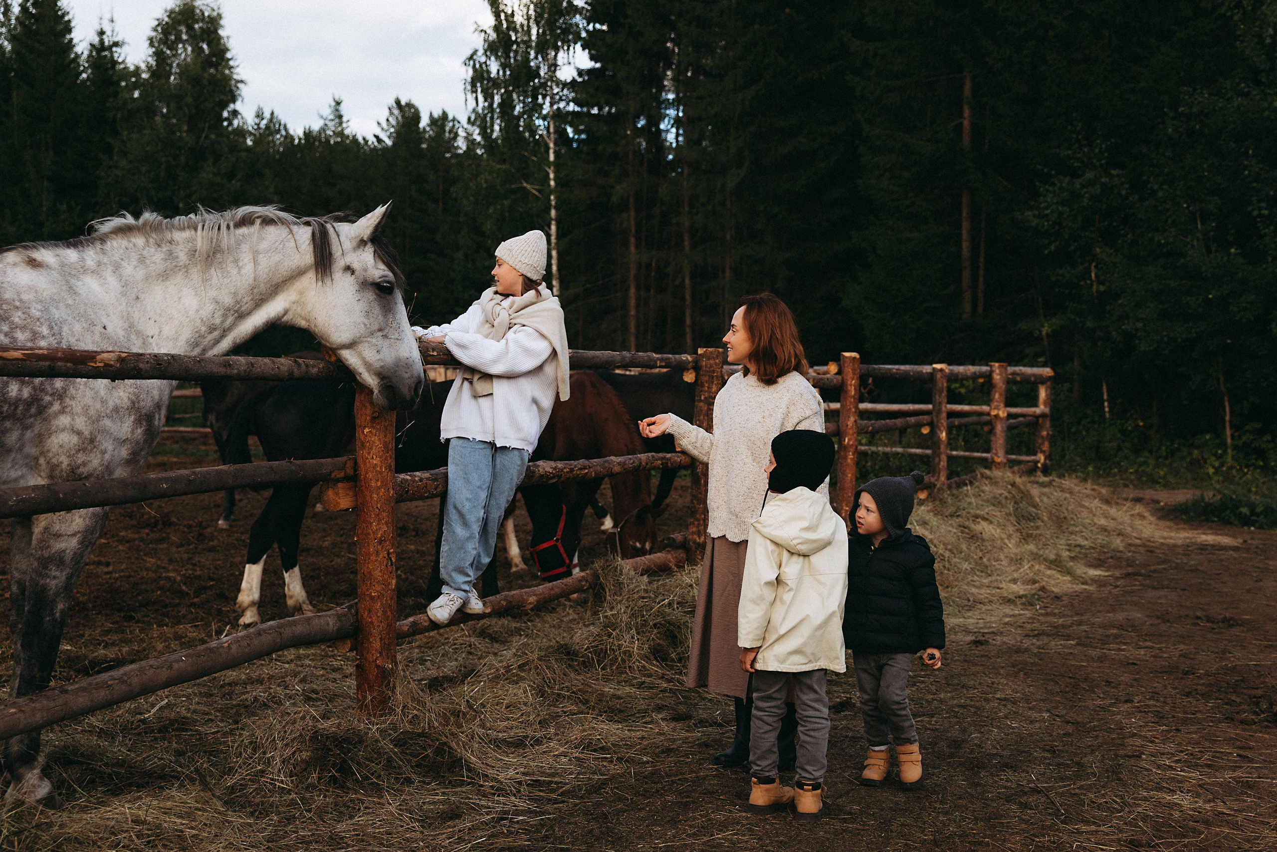 Country side. Главная
