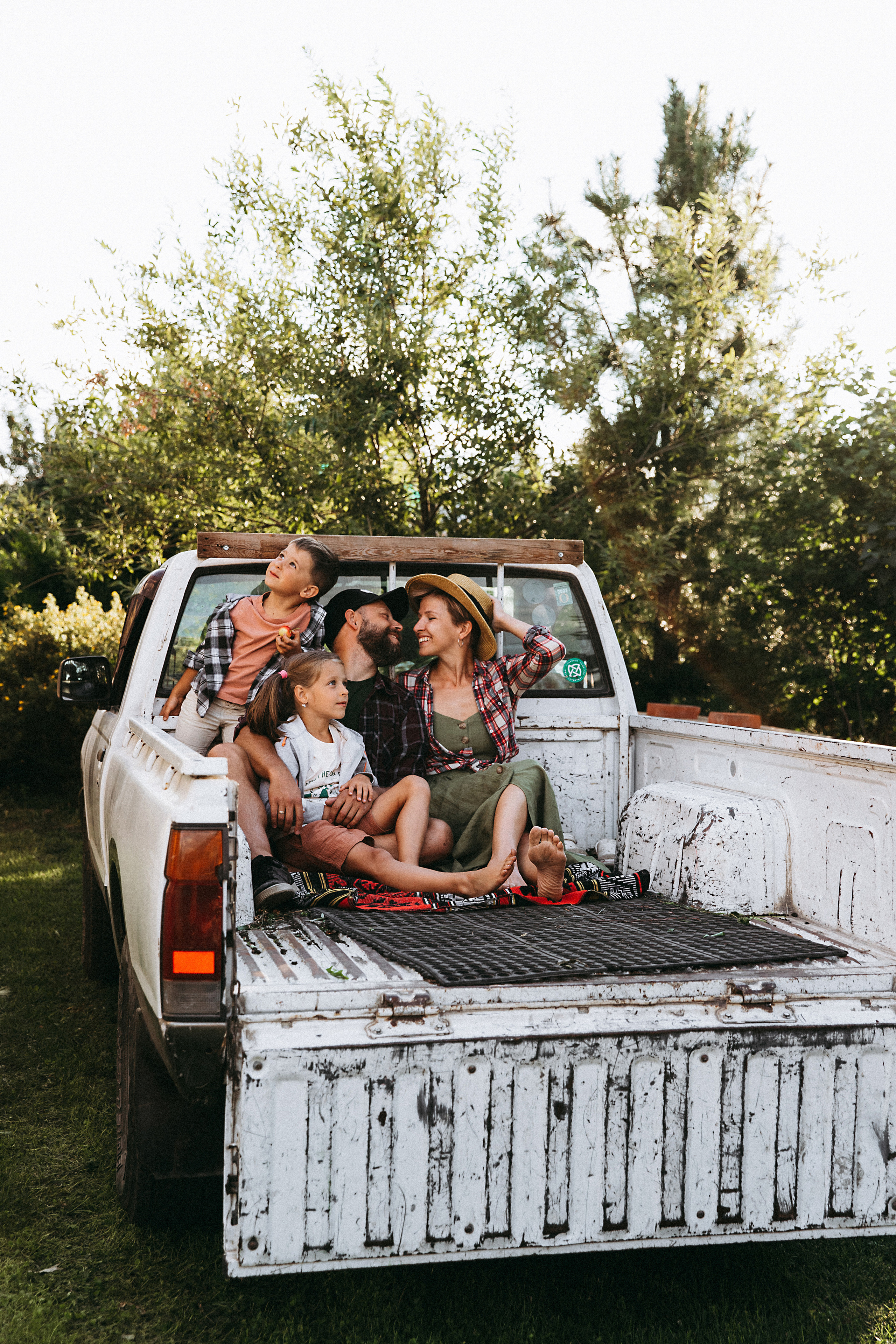 Дачный движ. Главная