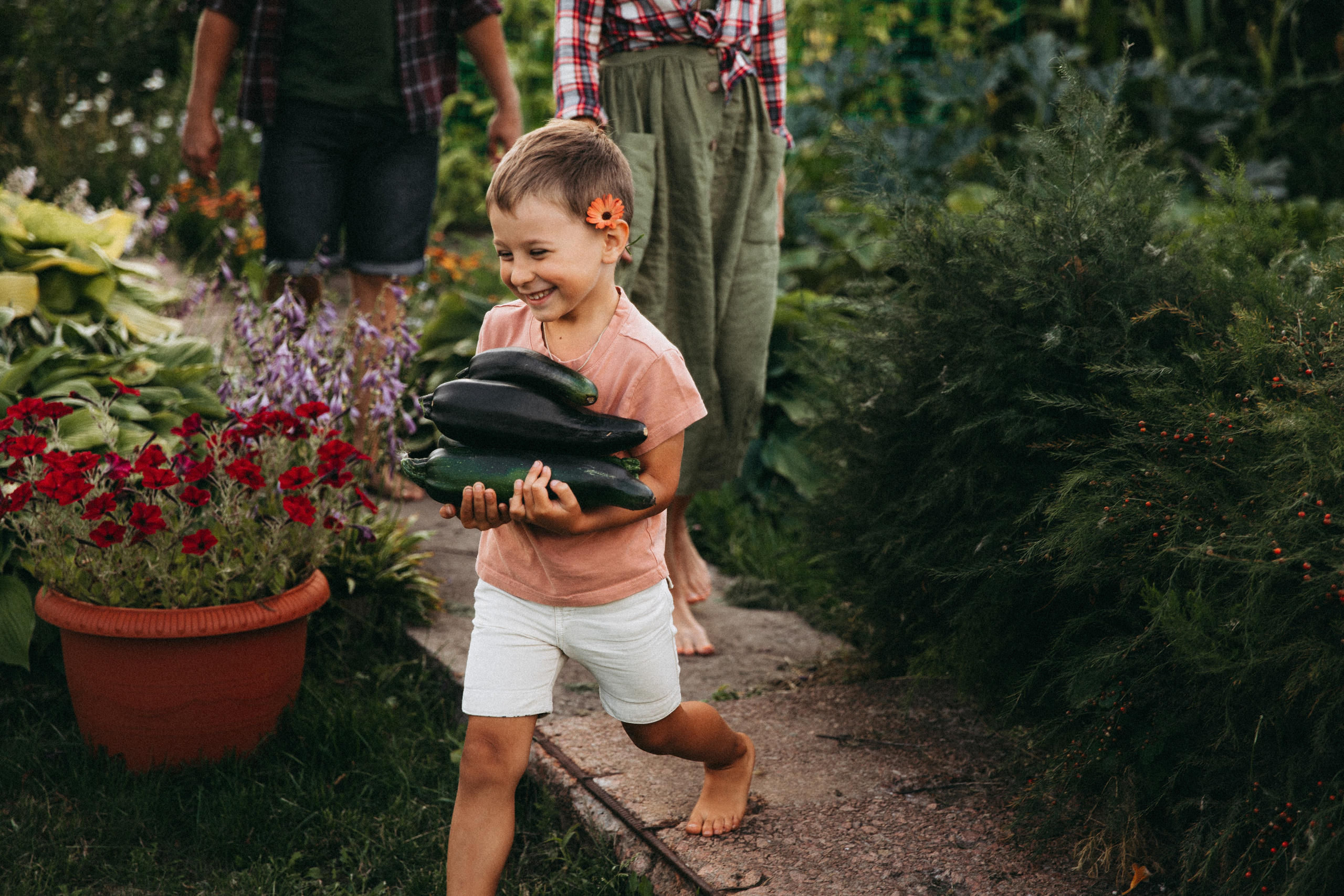 Дачный движ. Главная