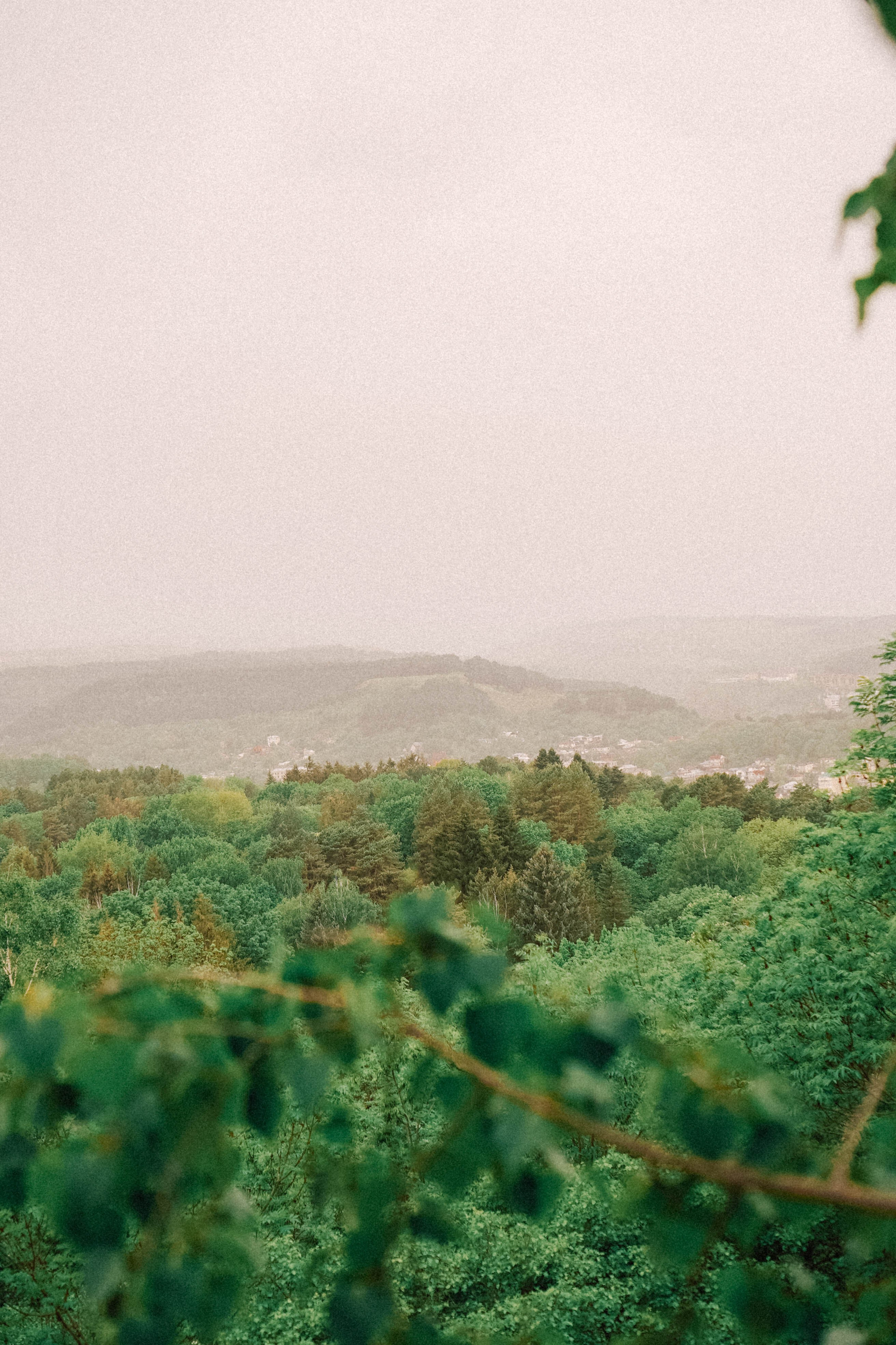 КИСЛОВОДСК. Профессиональный фотограф, Санкт-Петербург — Виктория Богомолова