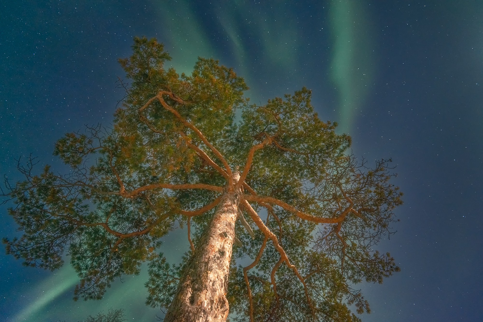 Северное сияние. Аэросъемка в Архангельске, Александр Ермолин