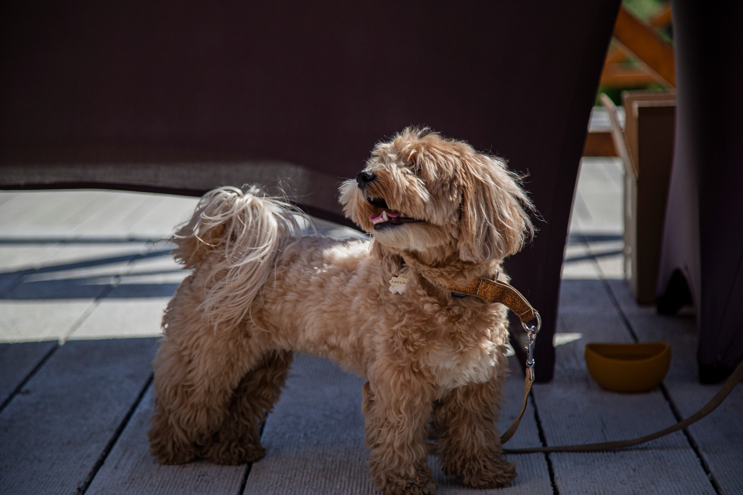 Юбилей. 𝓕𝓸𝓽𝓸𝓰𝓻𝓪𝓯 𝓑𝓪𝓵𝓪𝓼𝓱𝓲𝓱𝓪 / 𝓜𝓸𝓼𝓴𝓿𝓪