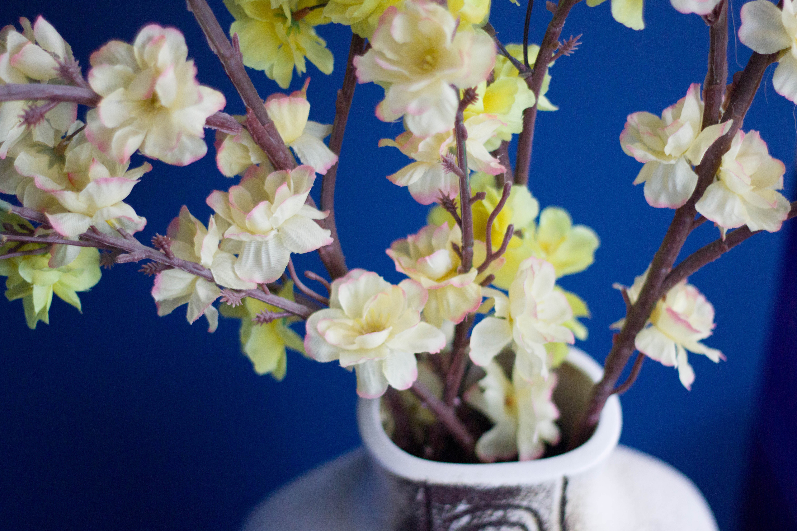 Интерьерная съёмка. Shmeleva.ph Фотограф Волгоград и Волжский — Анна Шмелева