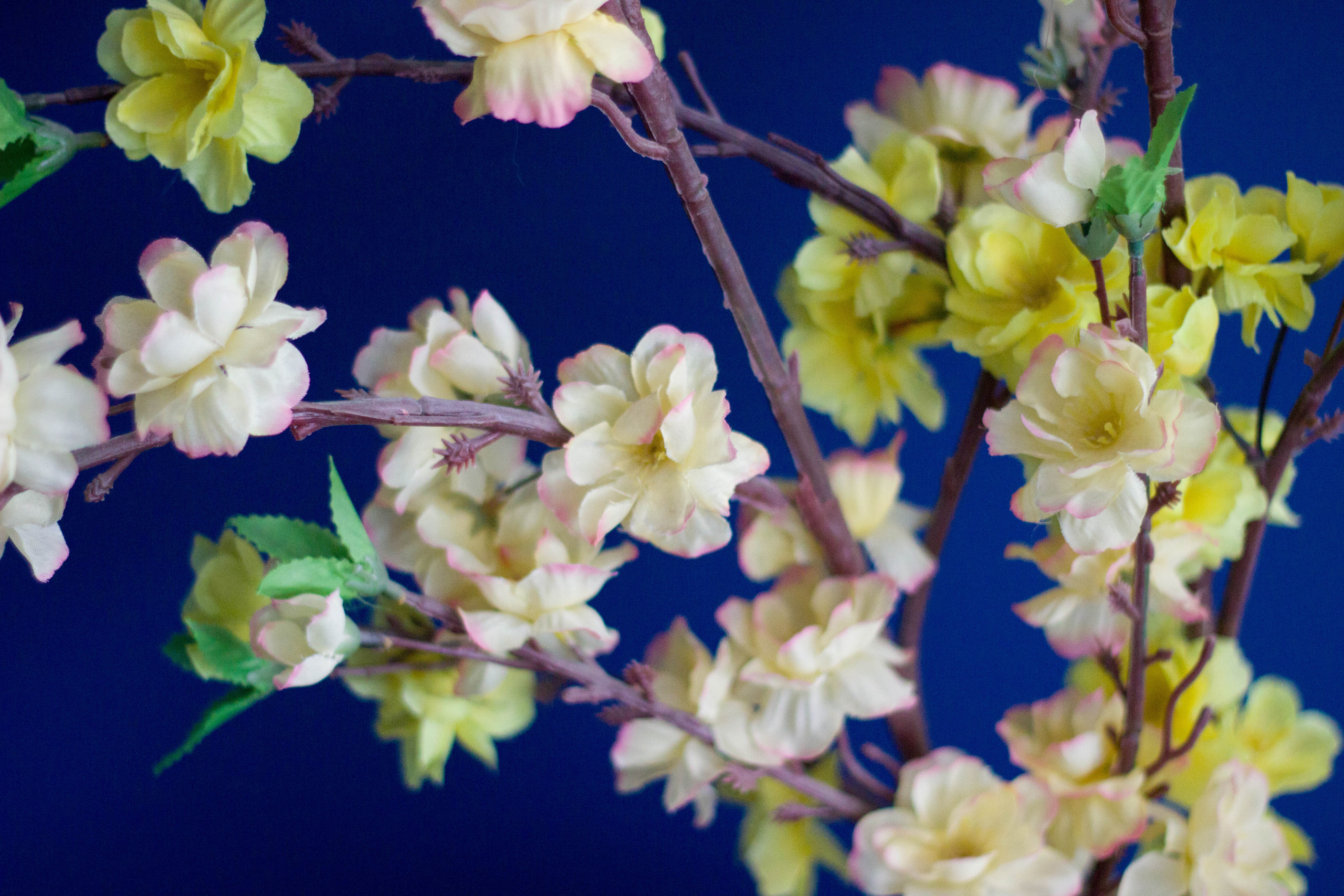 Интерьерная съёмка. Shmeleva.ph Фотограф Волгоград и Волжский — Анна Шмелева